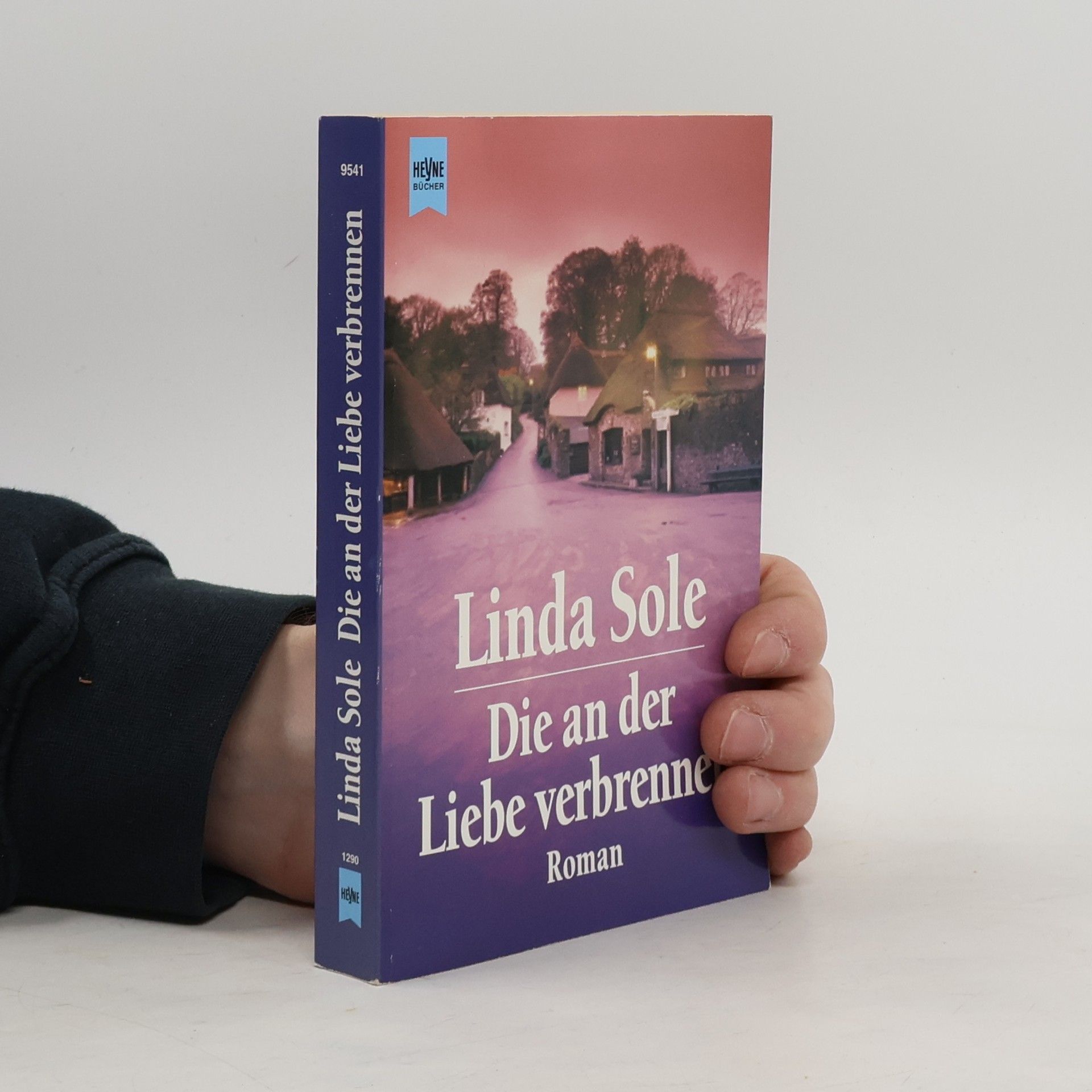 Anne Herries Die an der Liebe verbrennen