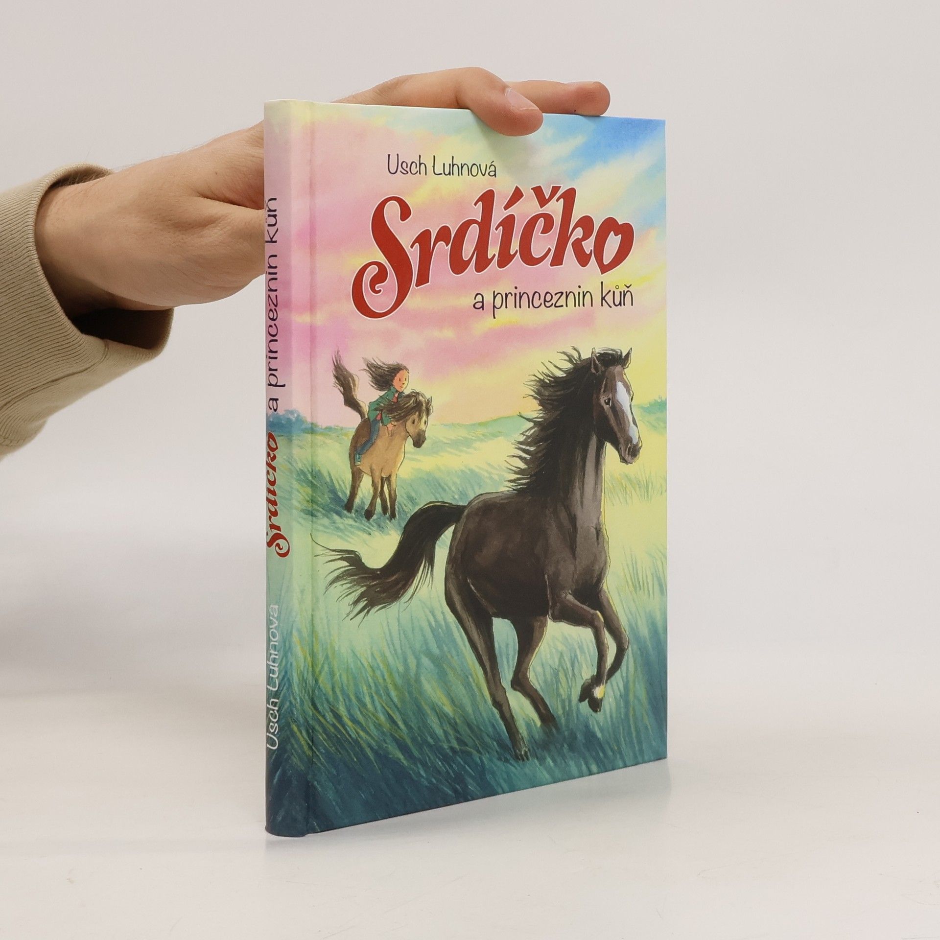 Usch Luhn Srdíčko a princeznin kůň