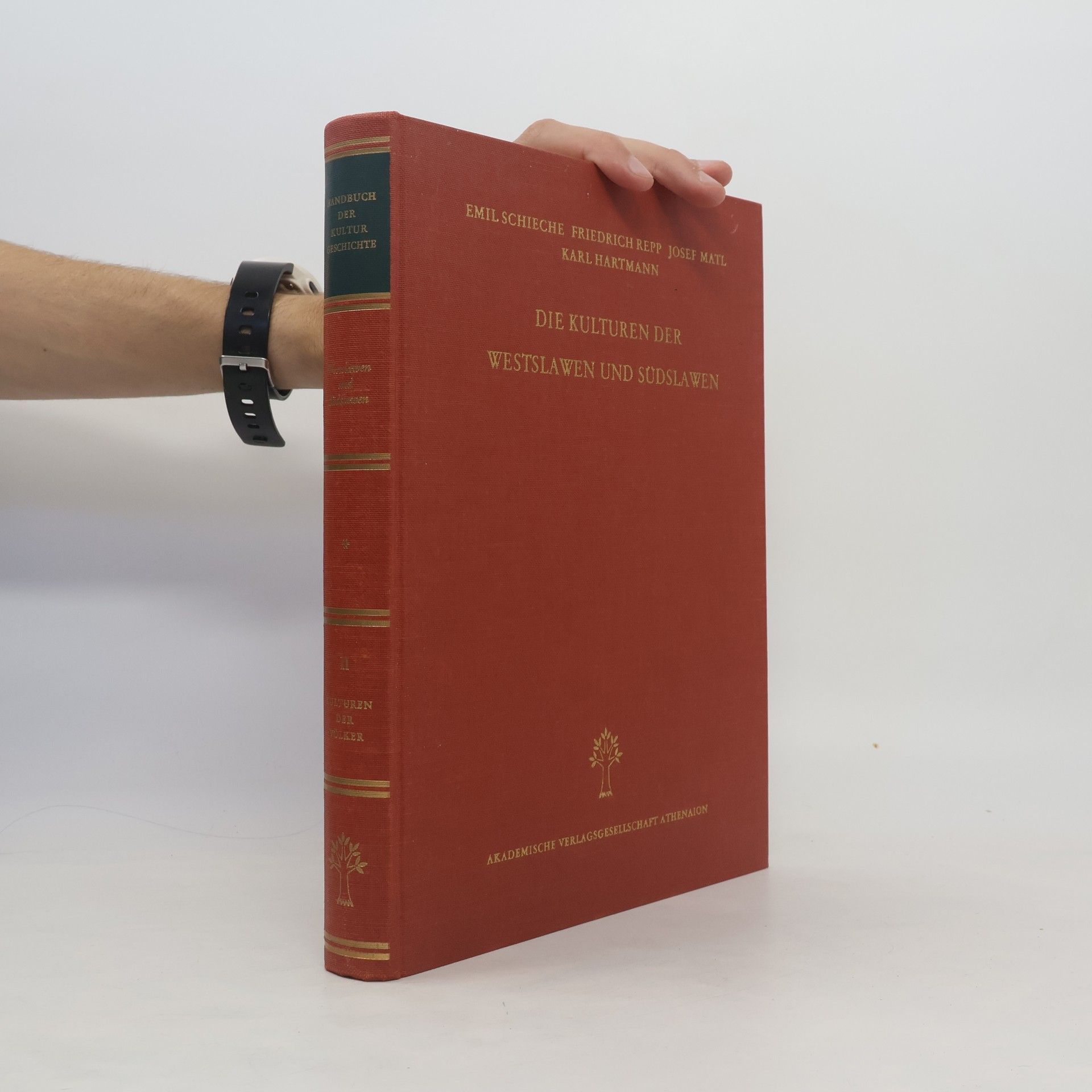 Kolektív autorov Die Kulturen der Westslawen und Südslawen