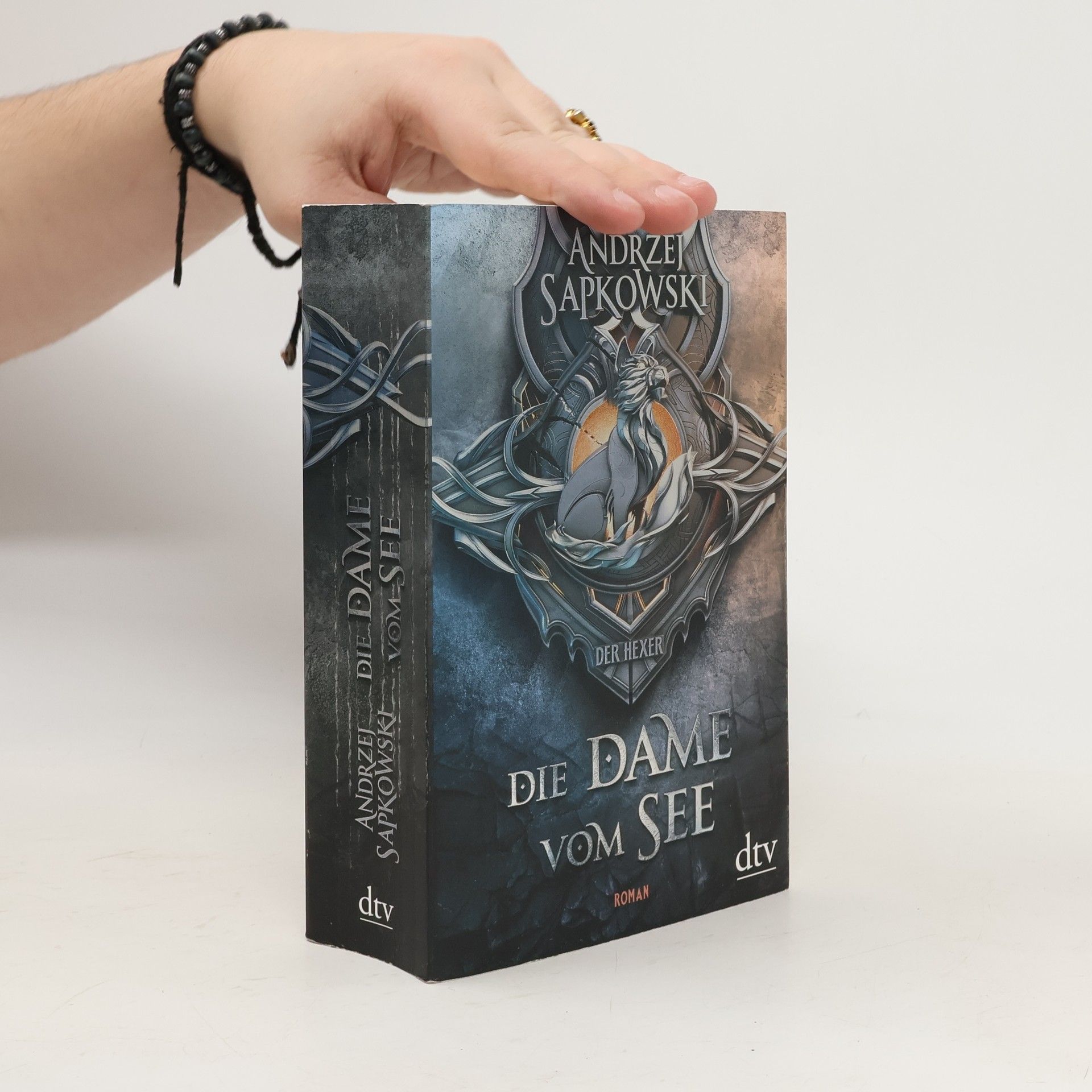 Andrzej Sapkowski Die Dame vom See