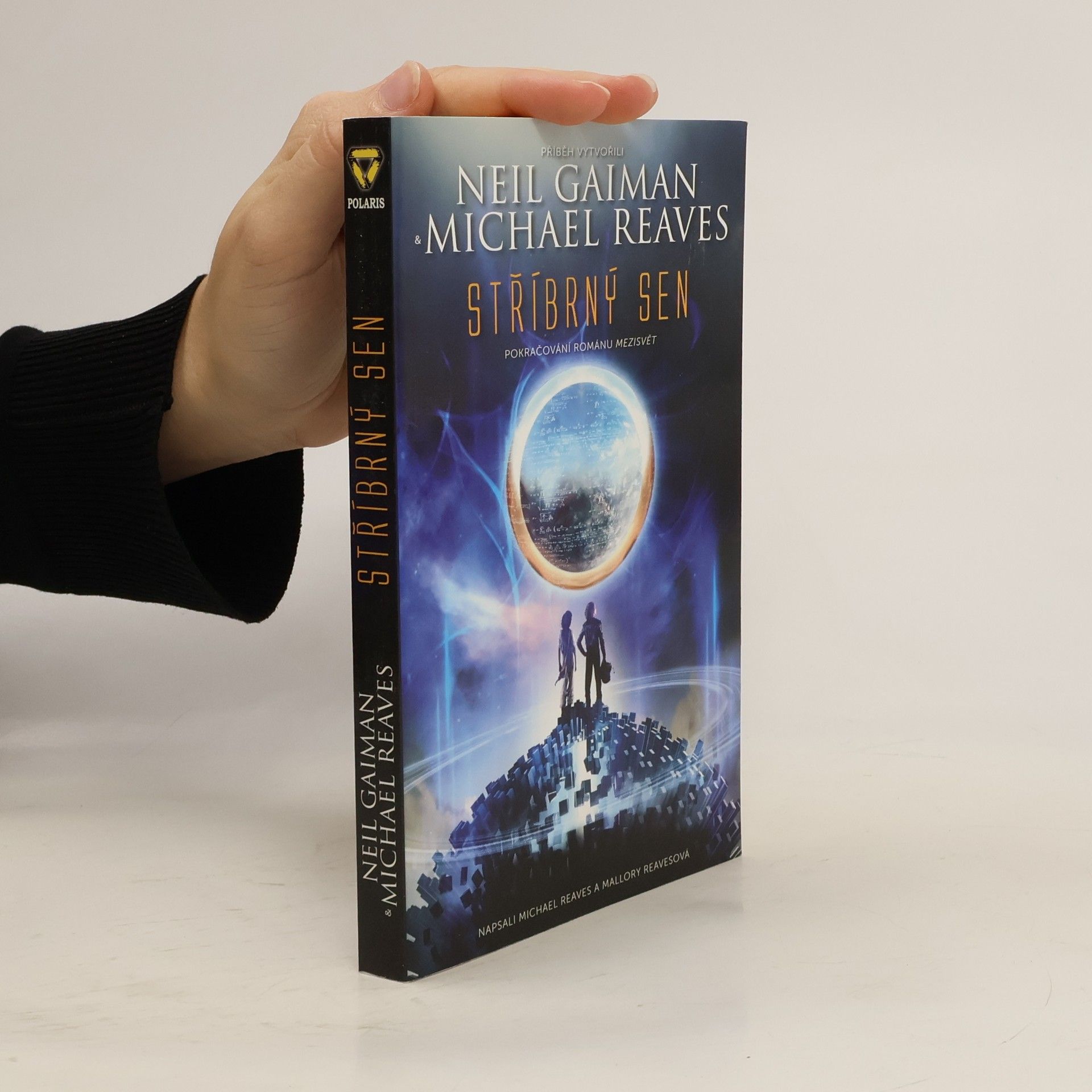 Neil Gaiman Stříbrný sen