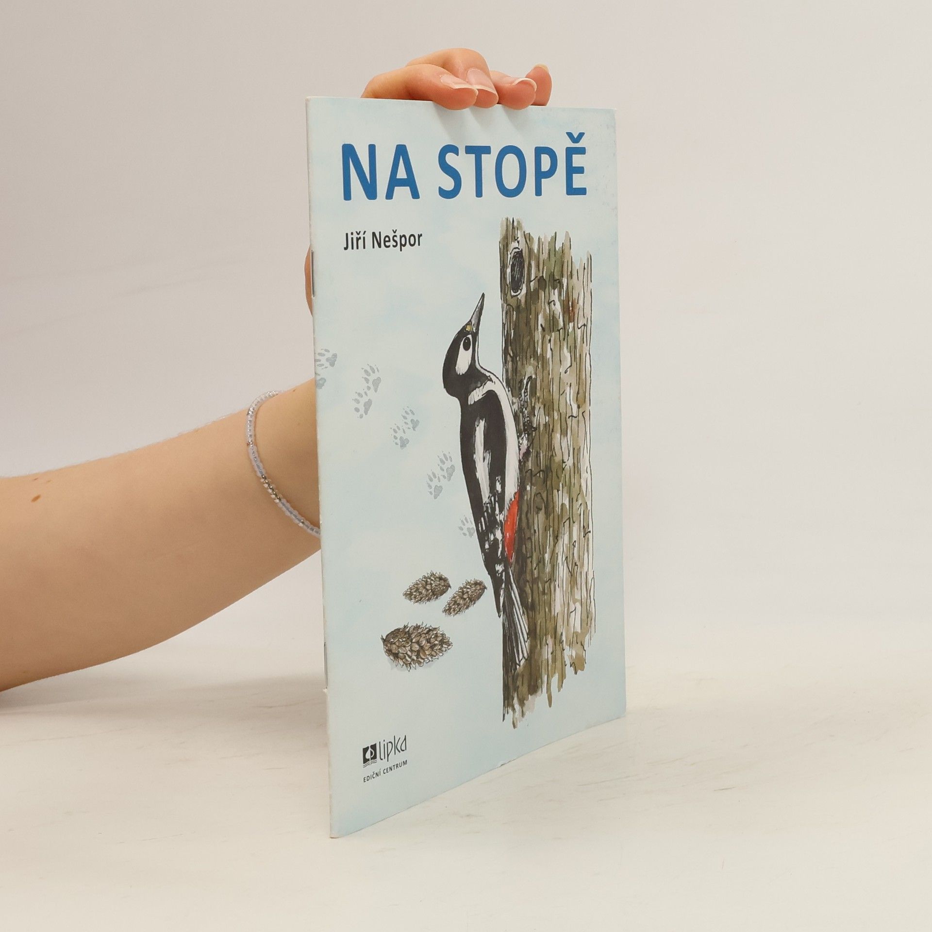 Jiří Nešpor Na stopě