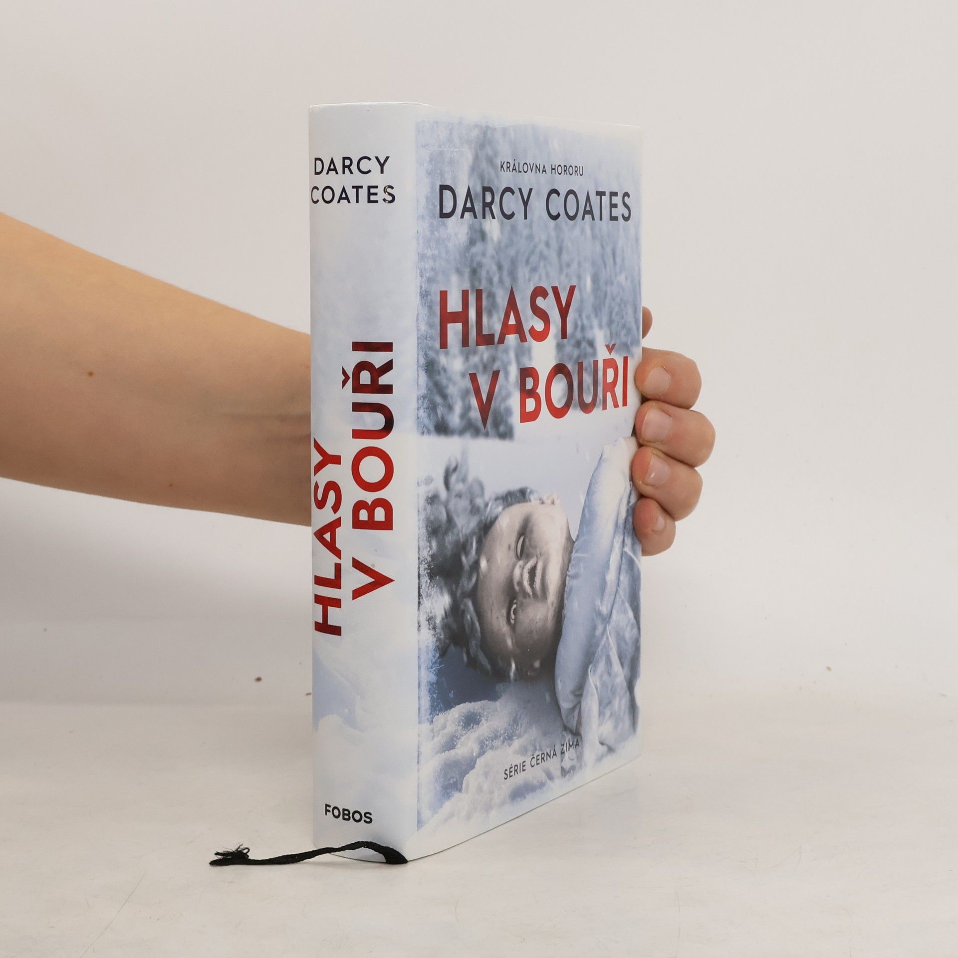 Darcy Coates Hlasy v bouři