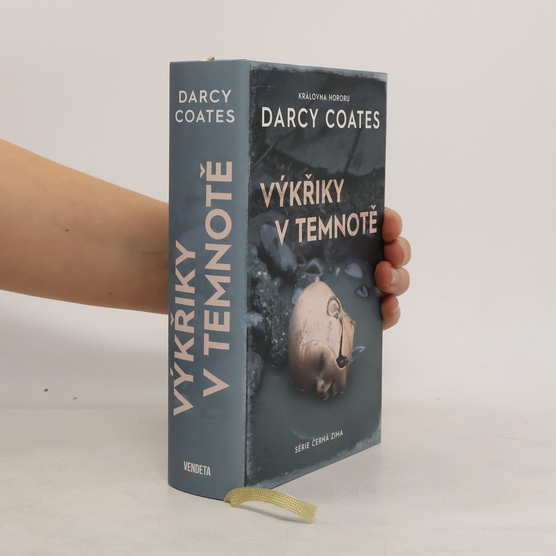 Darcy Coates Výkřiky v temnotě