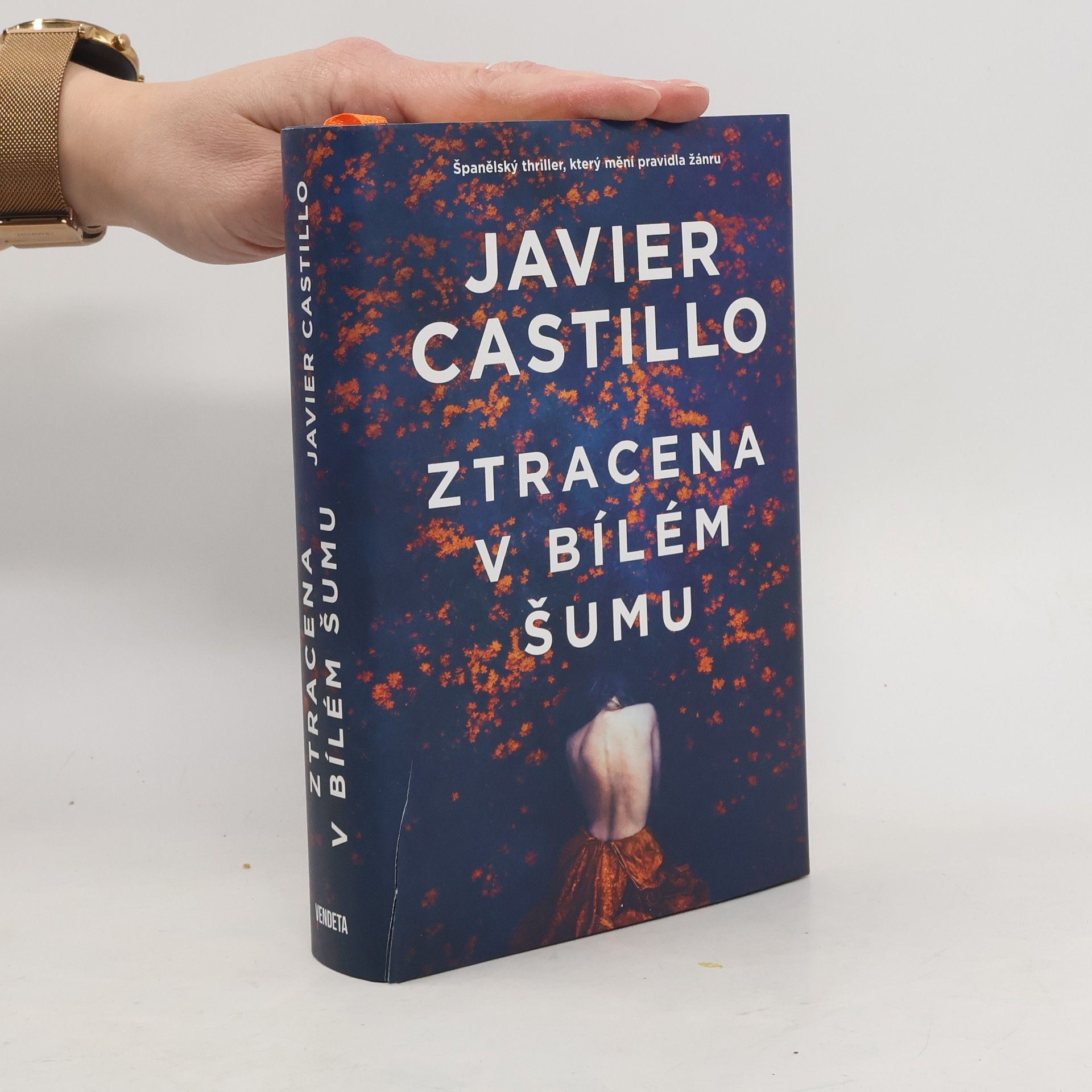 Javier Castillo Ztracena v bílém šumu