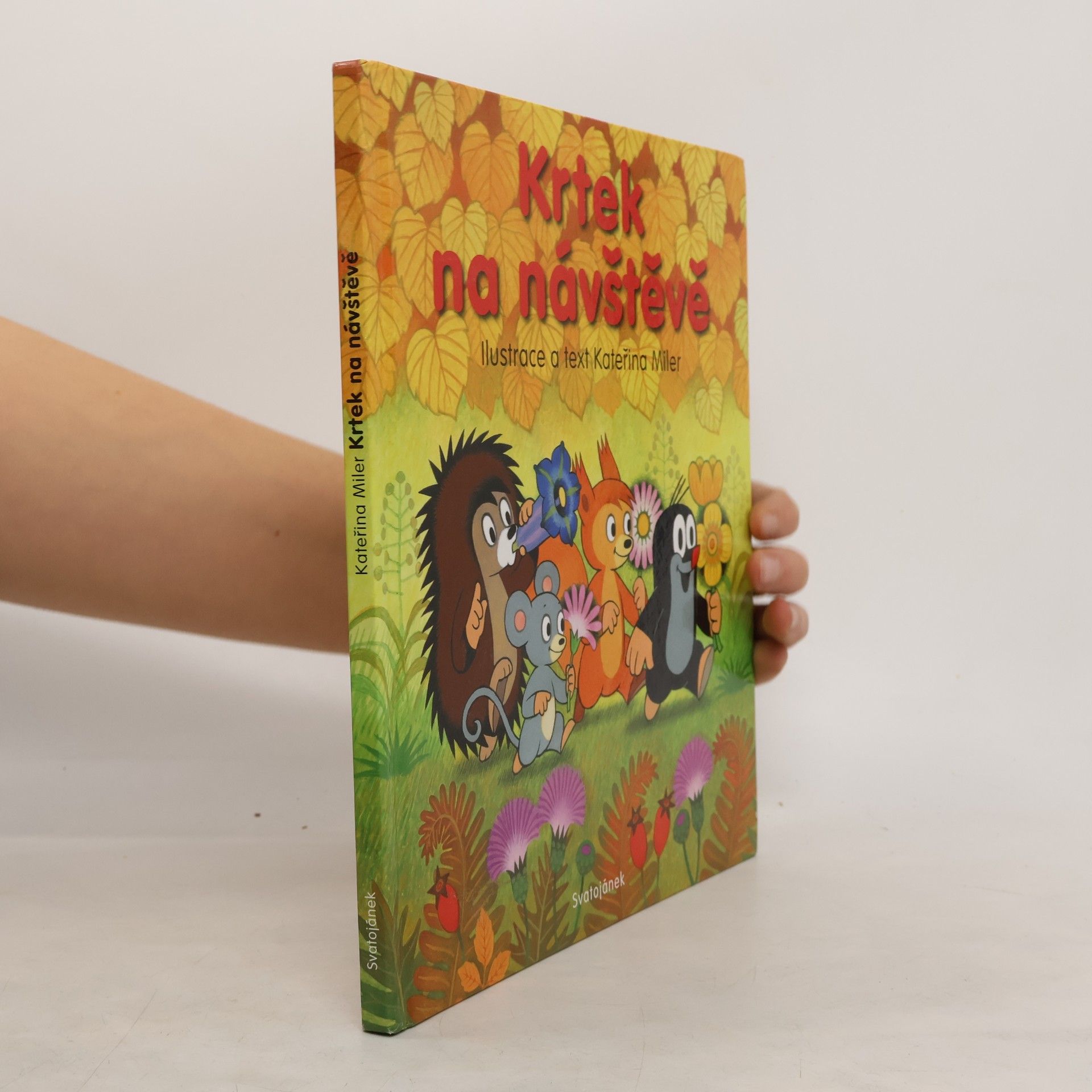 Kateřina Lovis Miler Krtek na návštěvě