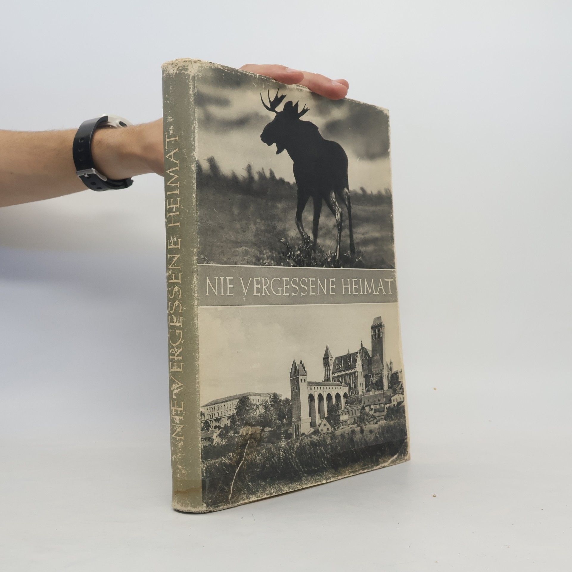 Autores varios Nie vergessene Heimat