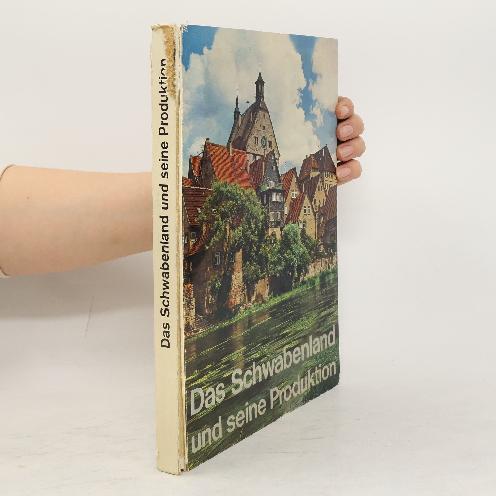 Collectif d'auteurs Das Schwabenland und seine Produktion