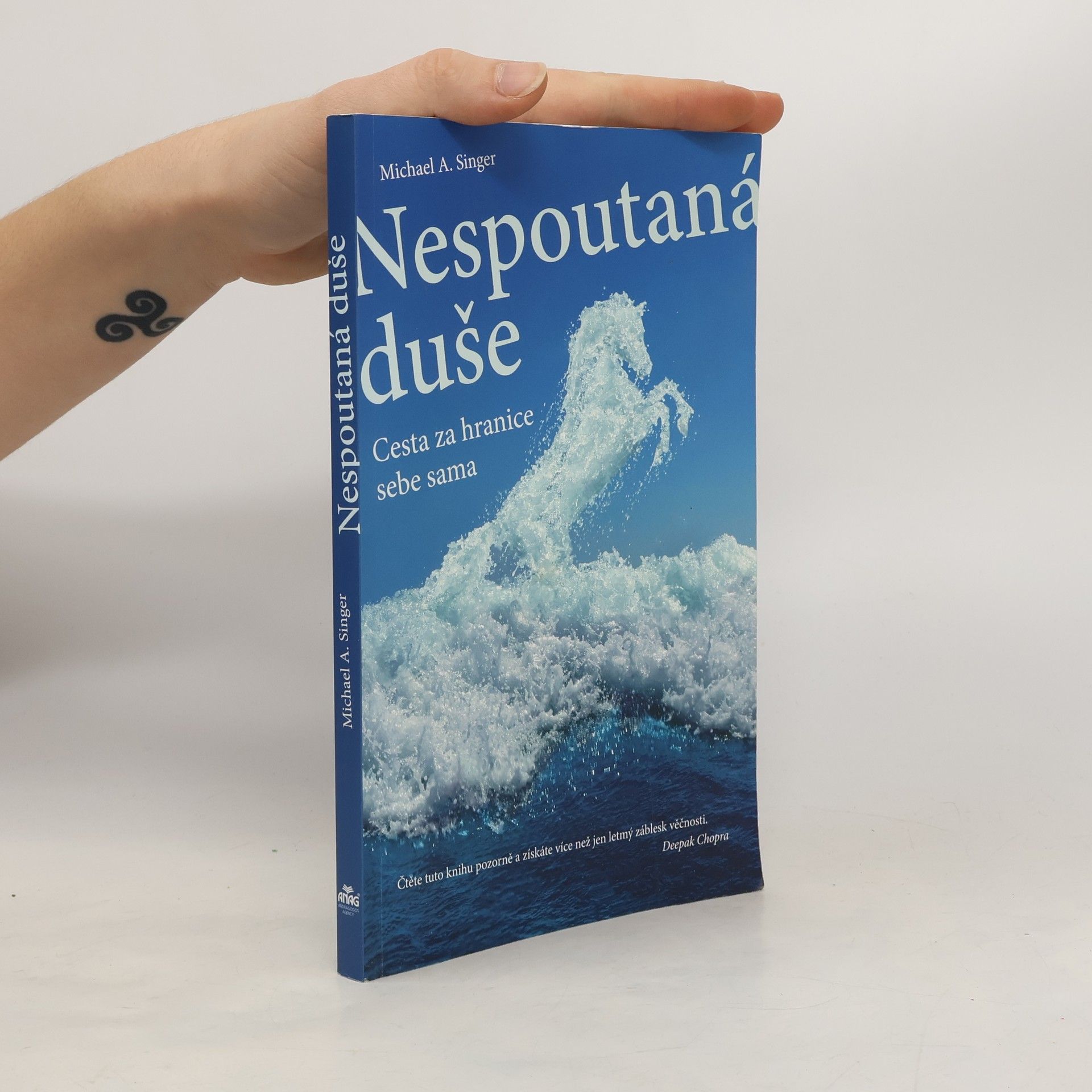 Michael A. Singer Nespoutaná duše