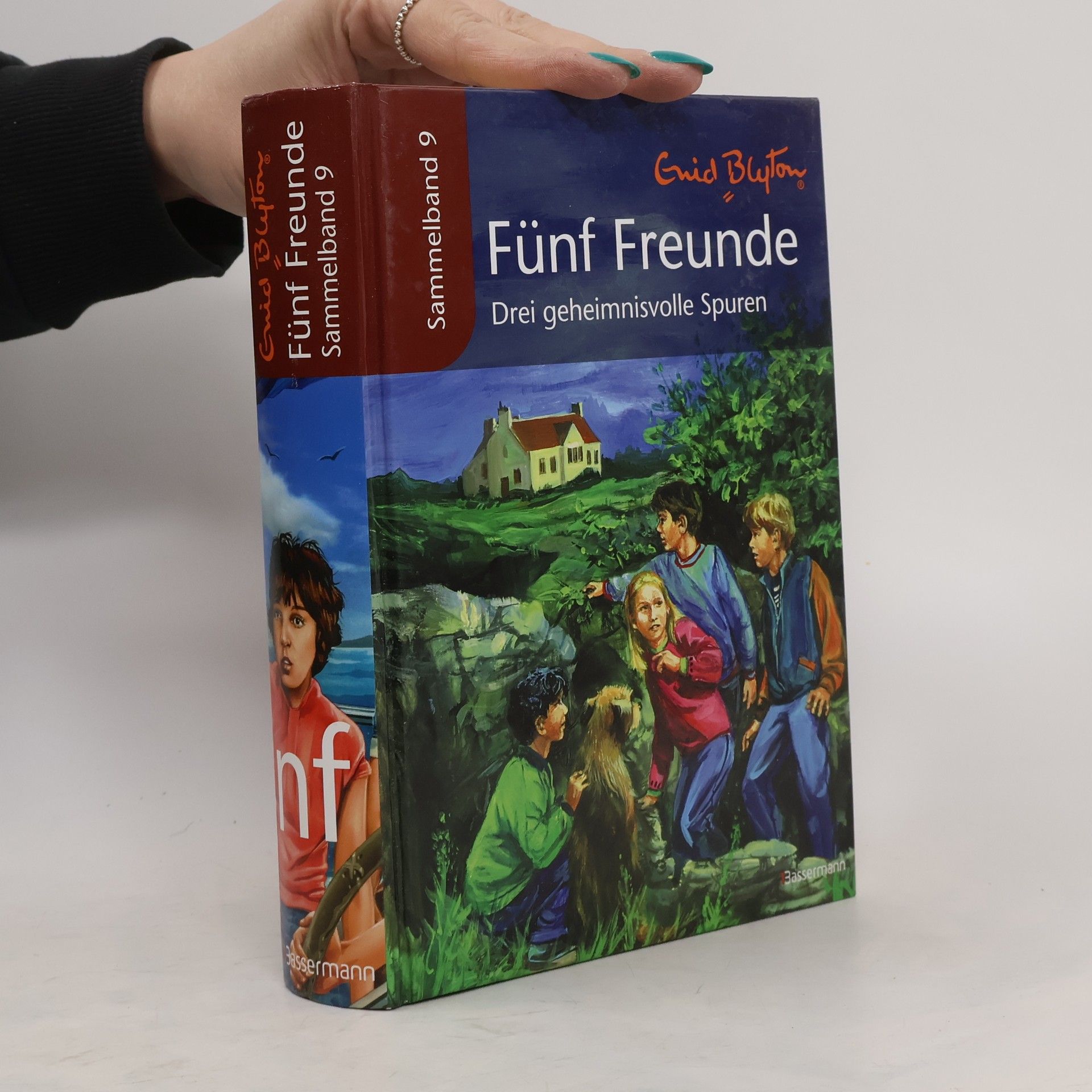 Enid Blyton Fünf Freunde