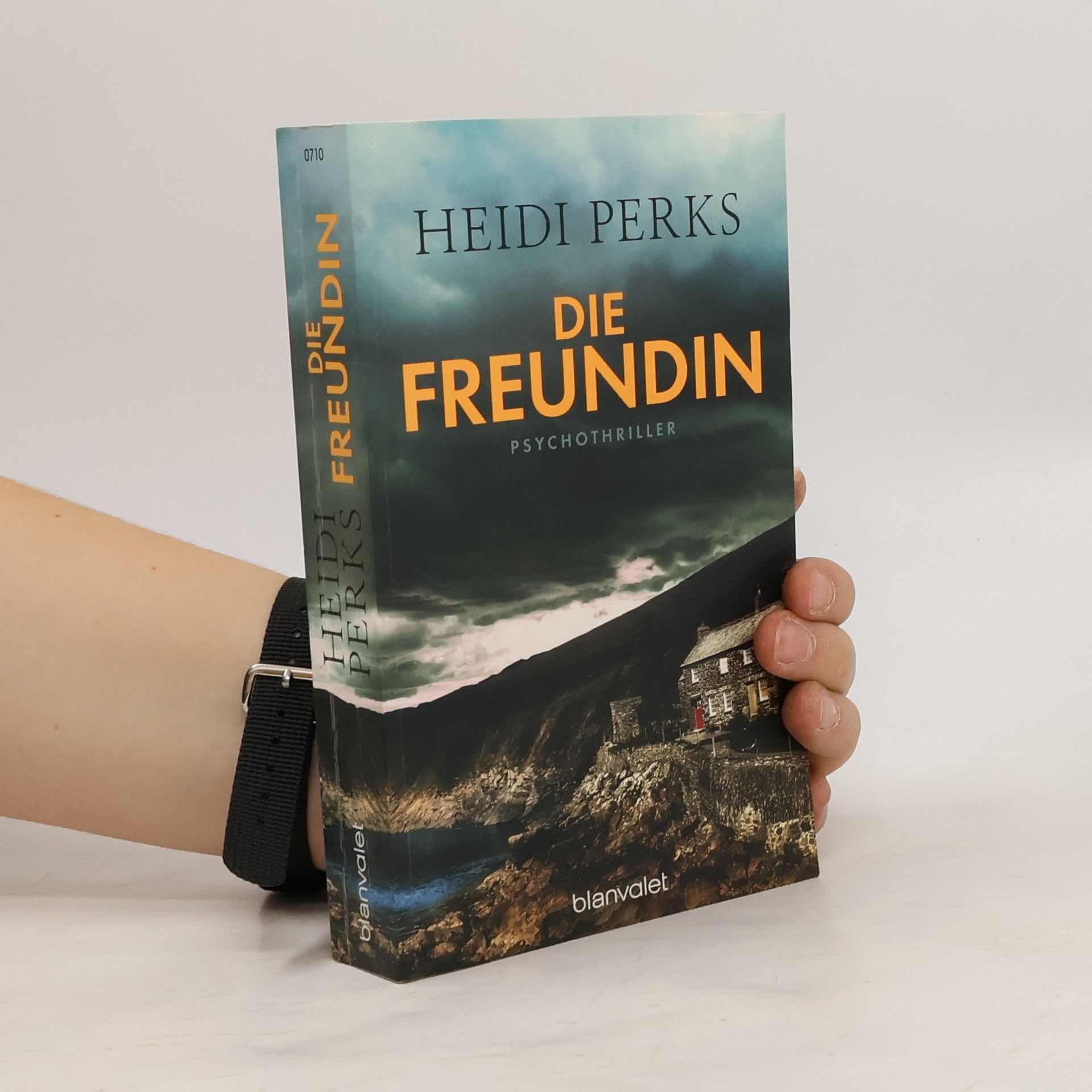 Heidi Perks Die Freundin