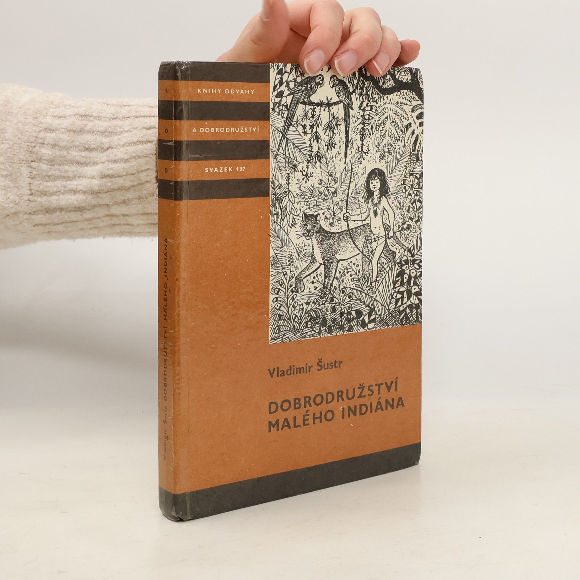 Dobrodružství malého Indiána