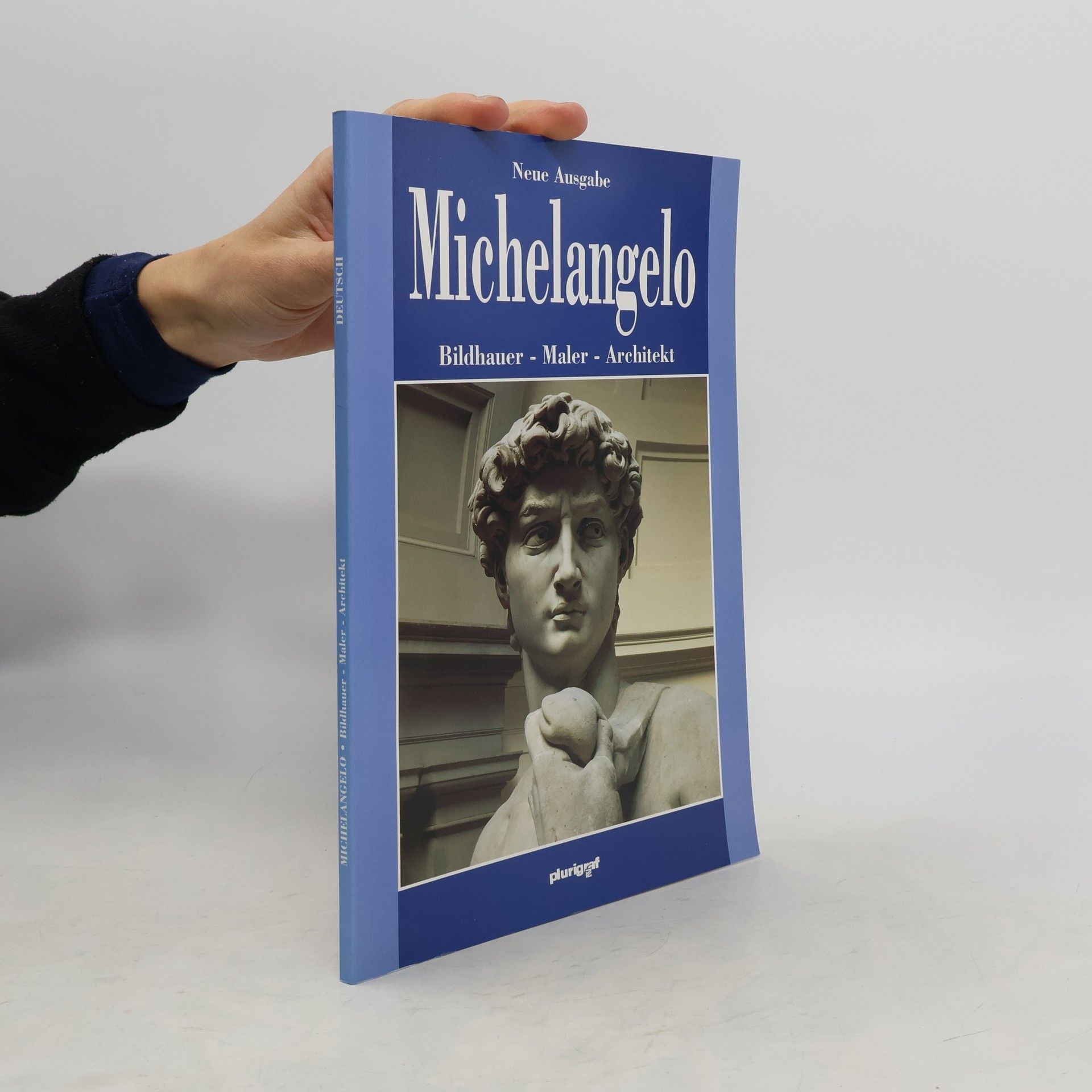 Autorenkollektiv Michelangelo