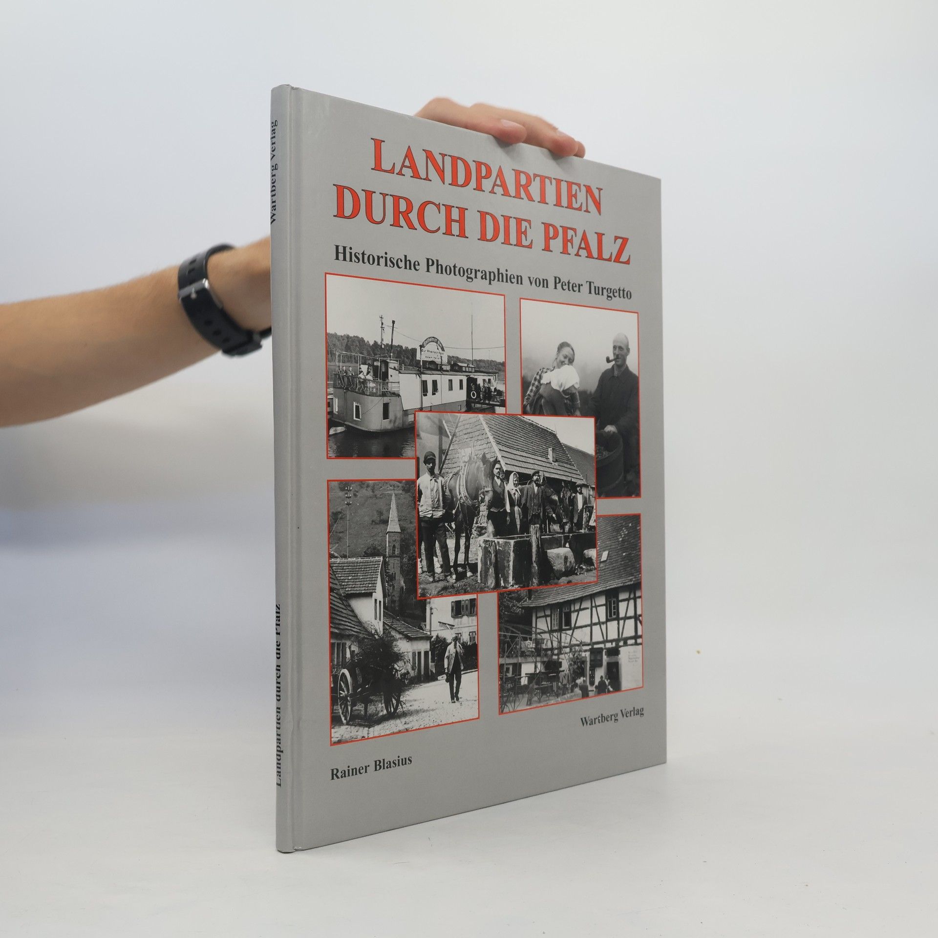 Rainer Blasius Landpartien durch die Pfalz