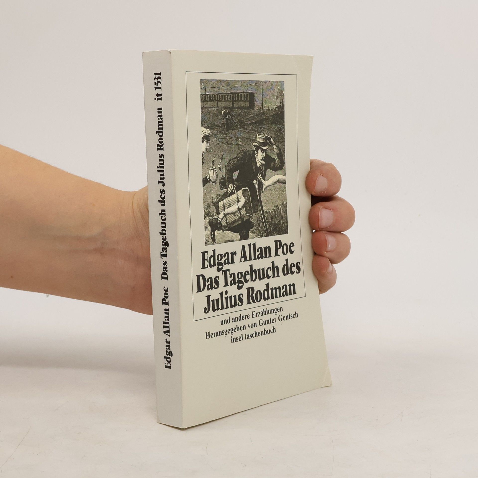 Edgar Allan Poe Das Tagebuch des Julius Rodman