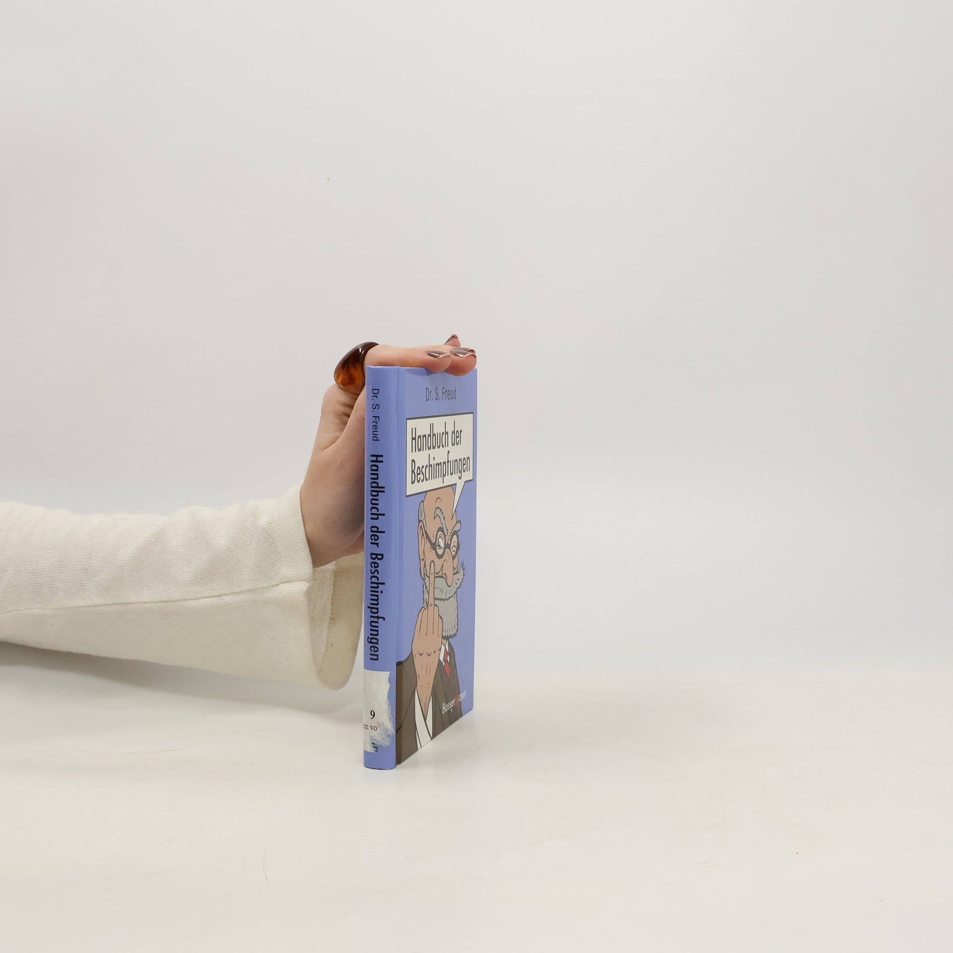 Sebastian Freud Handbuch der Beschimpfungen