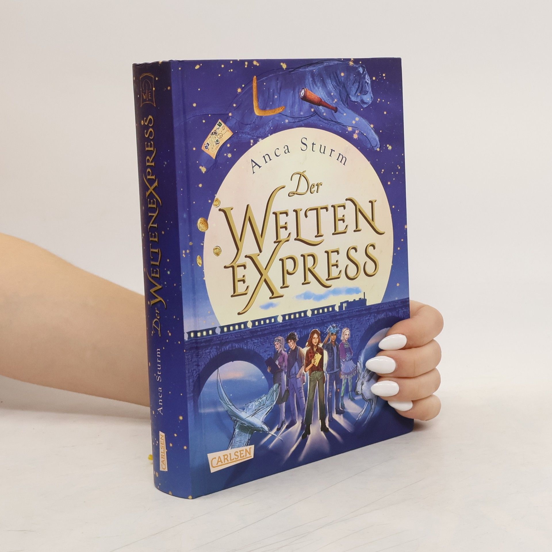 Anca Sturm Der Weltenexpress