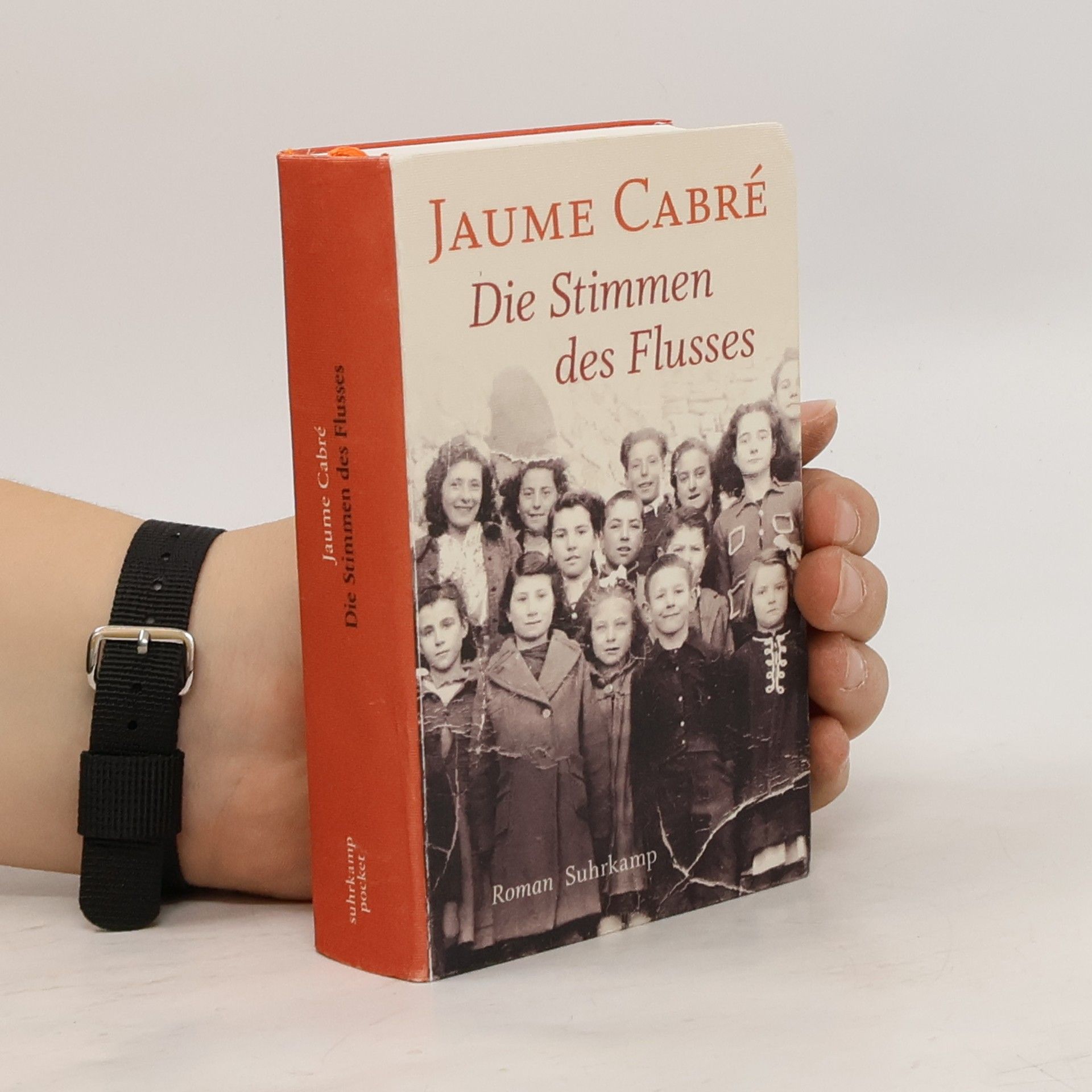 Jaume Cabré Die Stimmen des Flusses