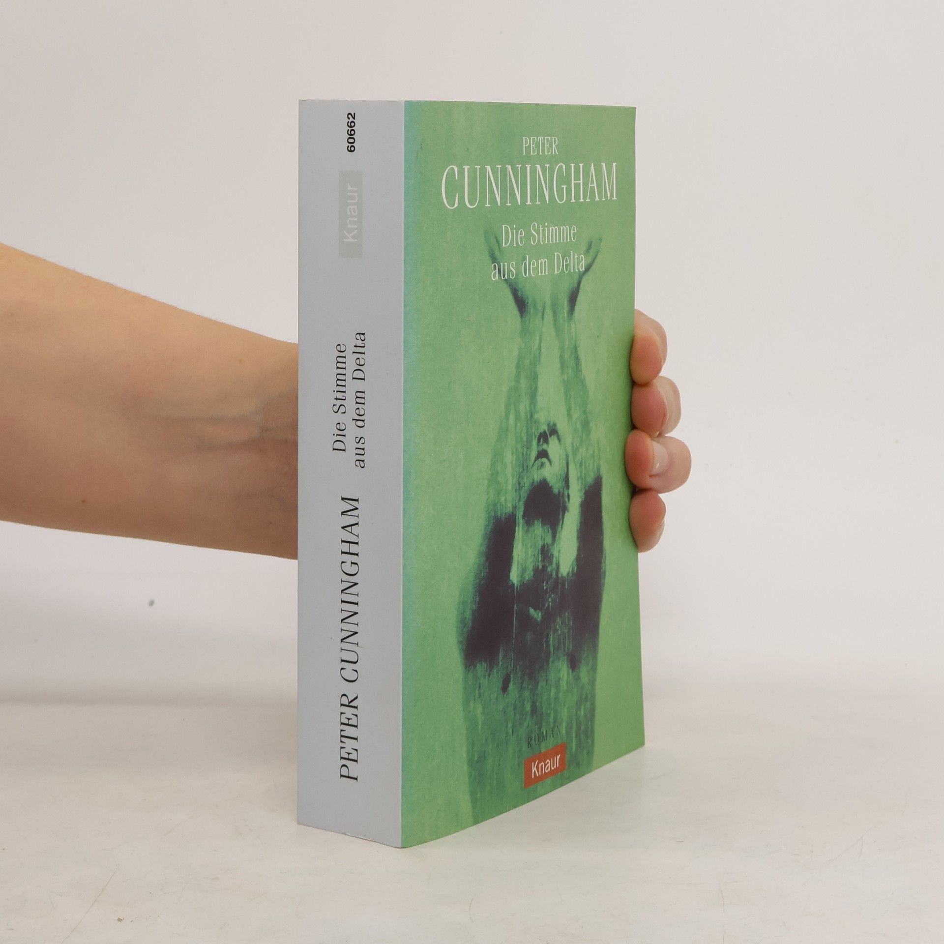 Peter Cunningham Die Stimme aus dem Delta