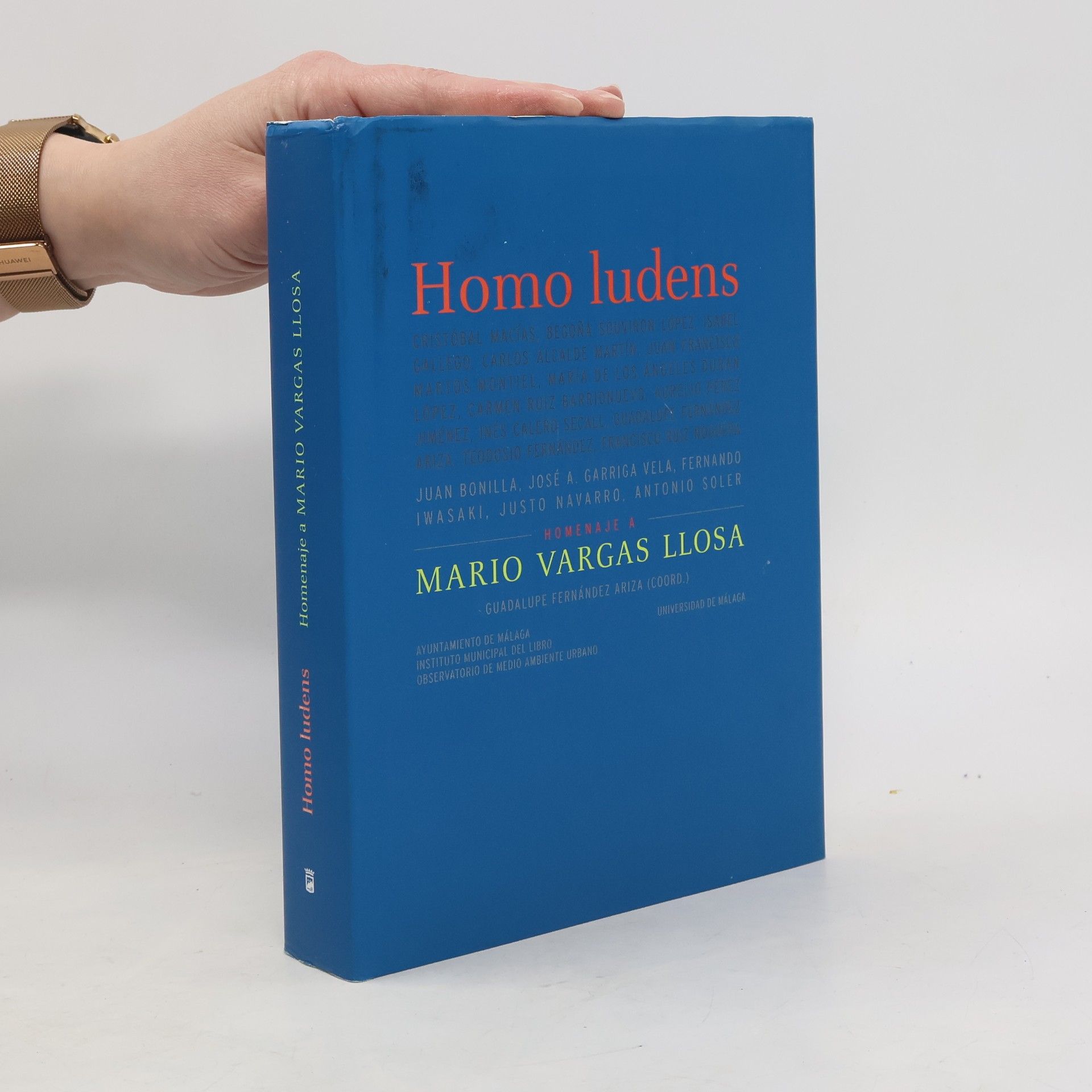 Guadalupe Fernández Ariza Homo ludens