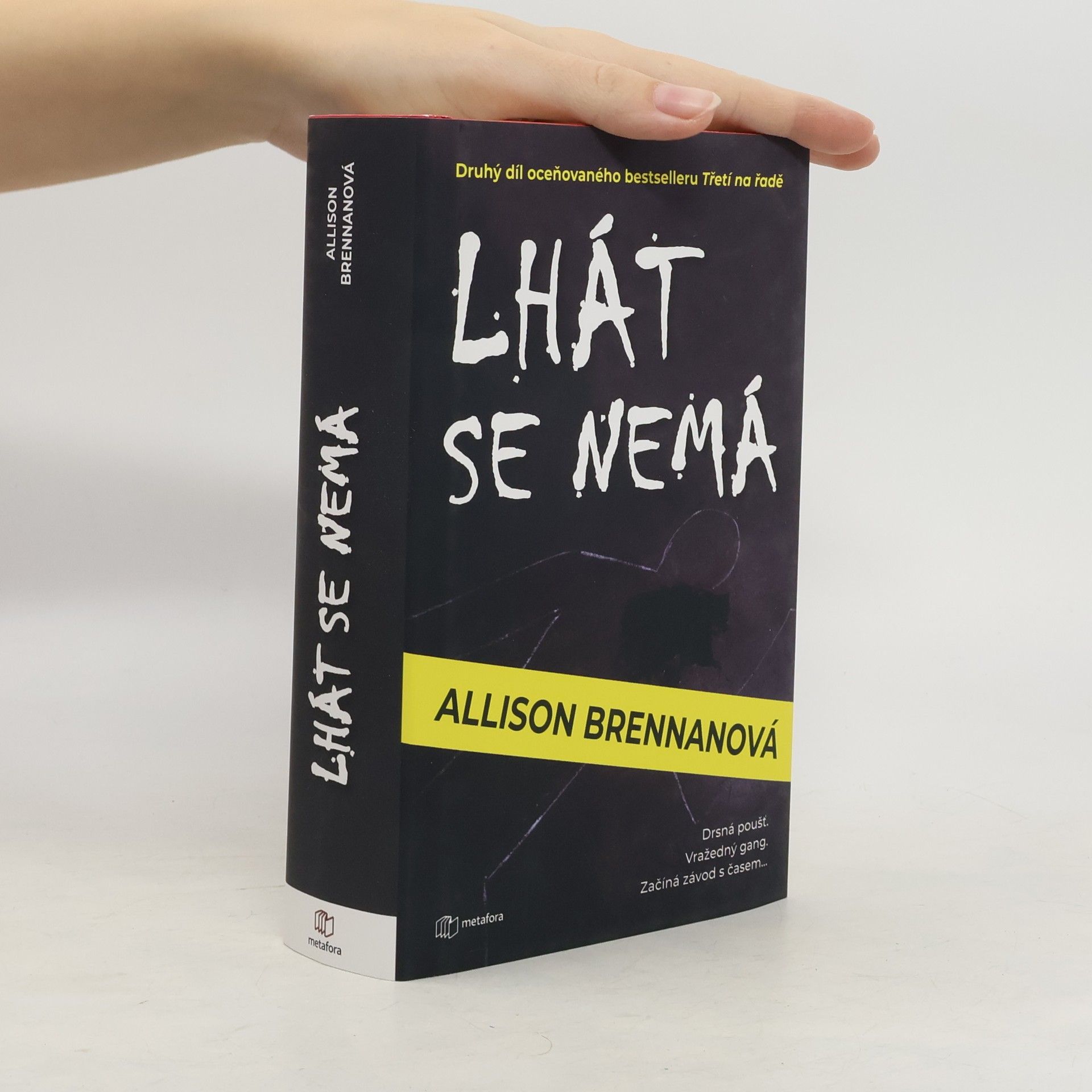 Allison Brennan Lhát se nemá