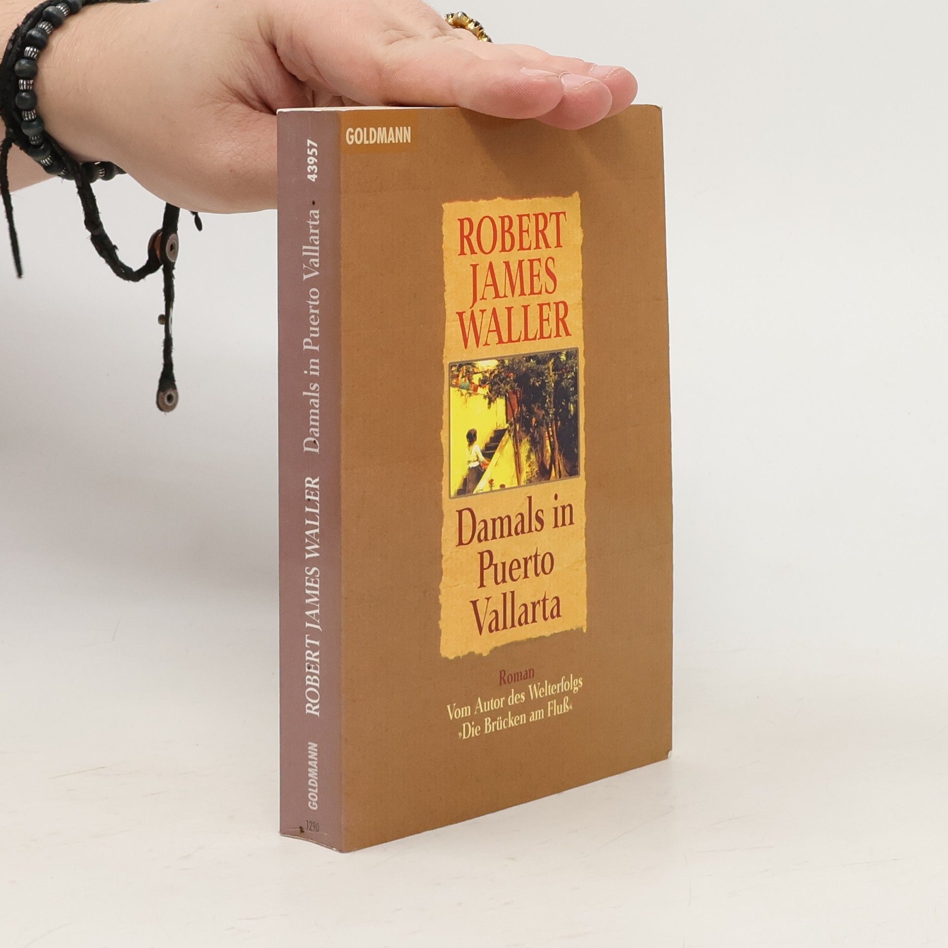 Damals in Puerto Vallarta