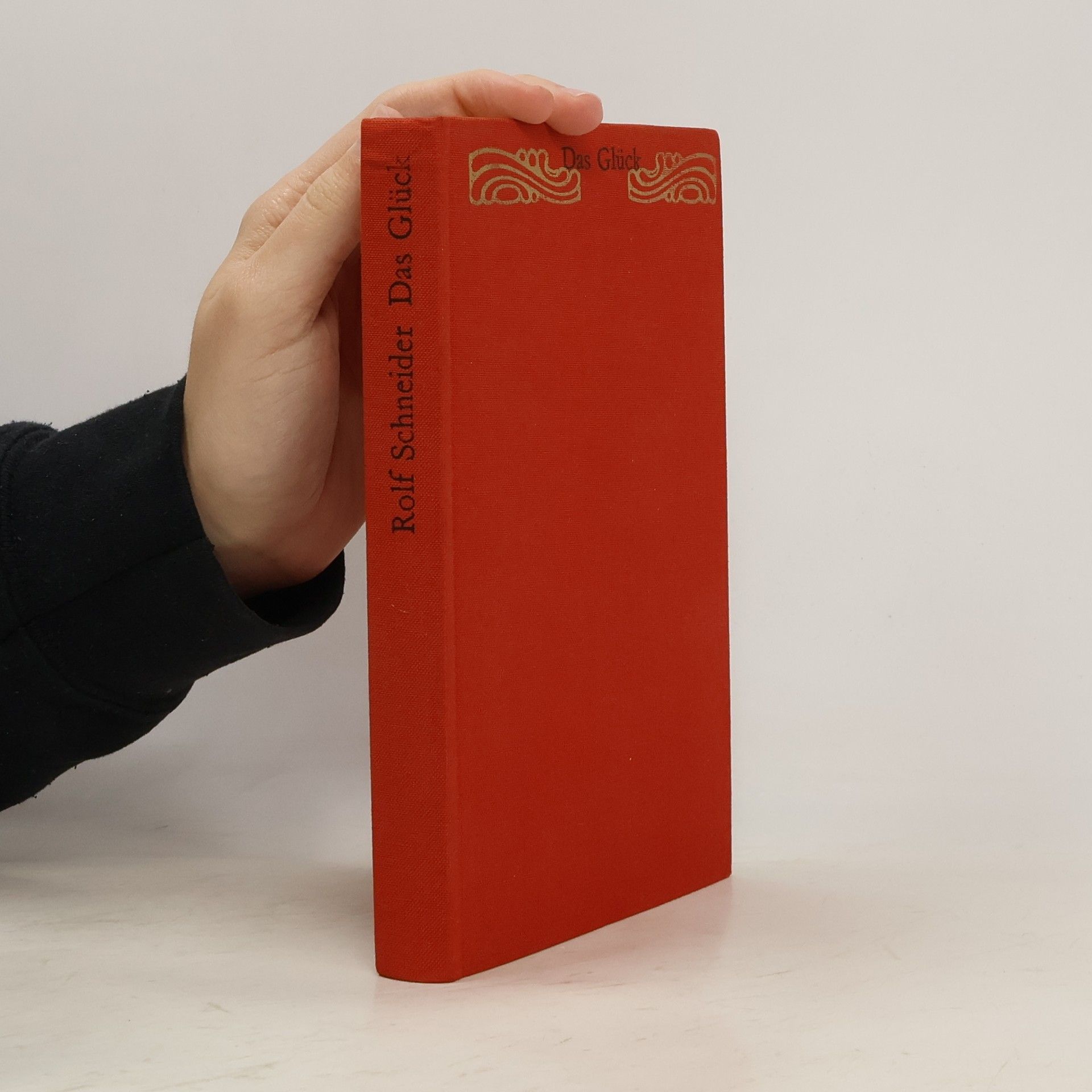 Rolf Schneider Das Glück