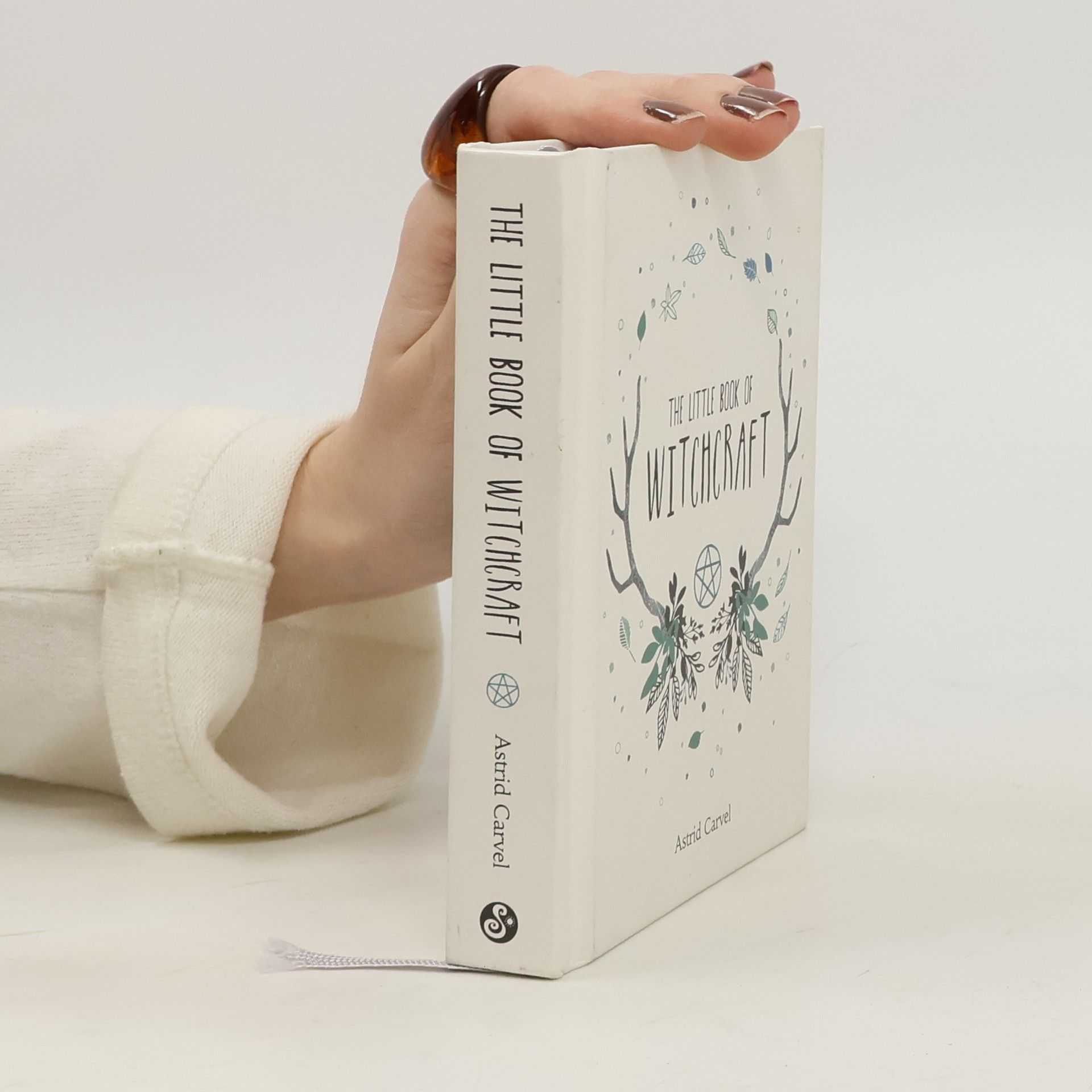 The Little Book of Witchcraft