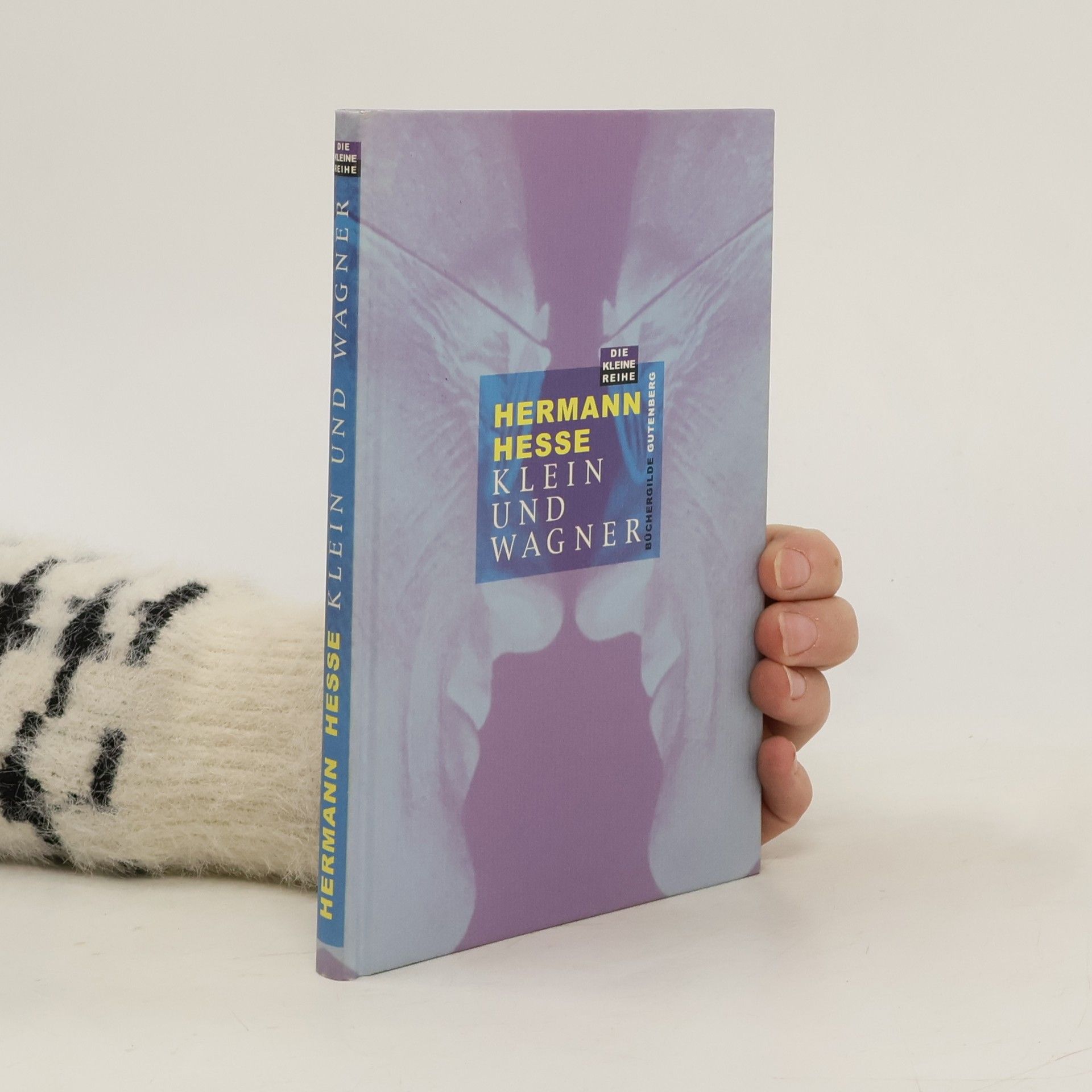 Hermann Hesse Die kleine Reihe: Klein und Wagner
