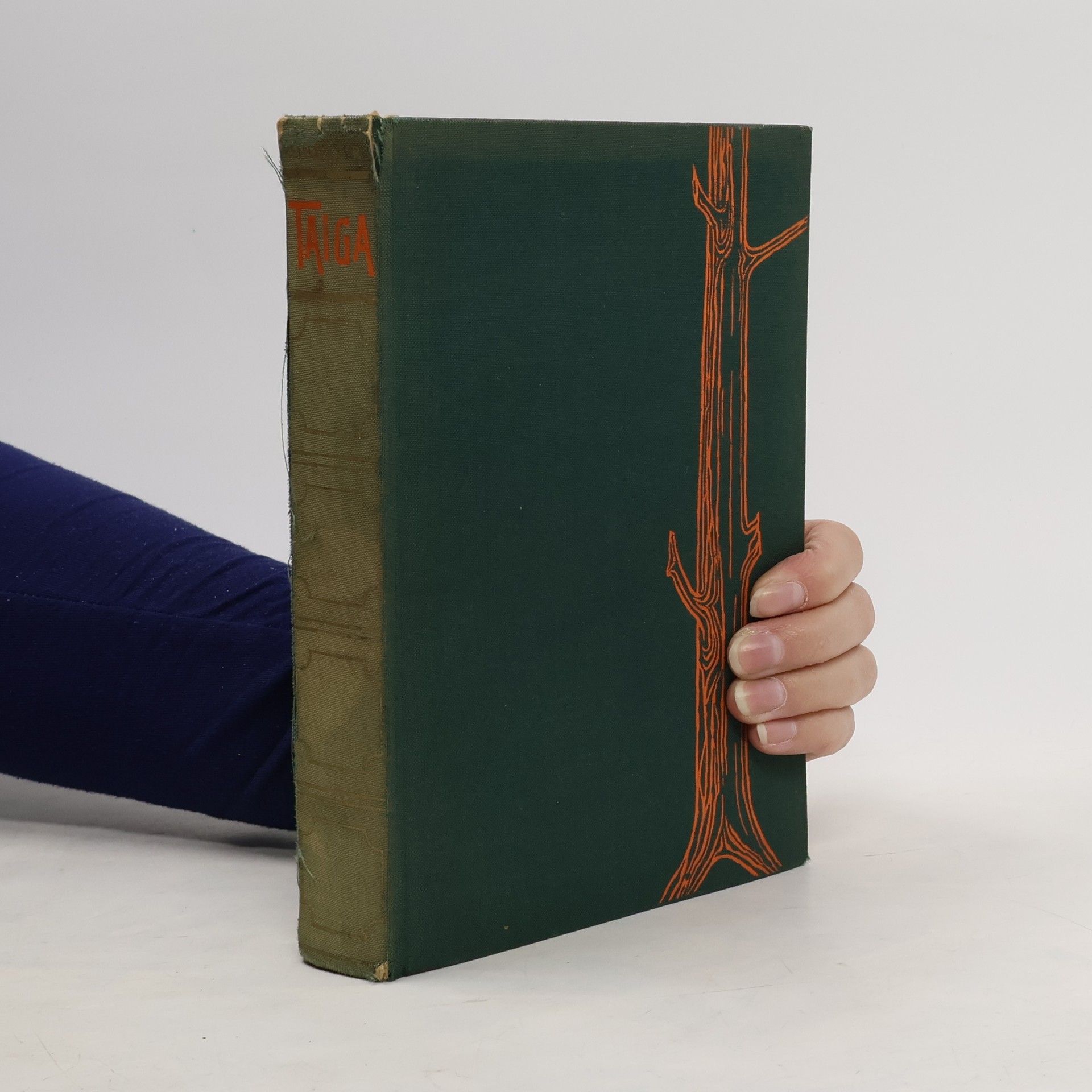 Herbert Dührkopp Taiga