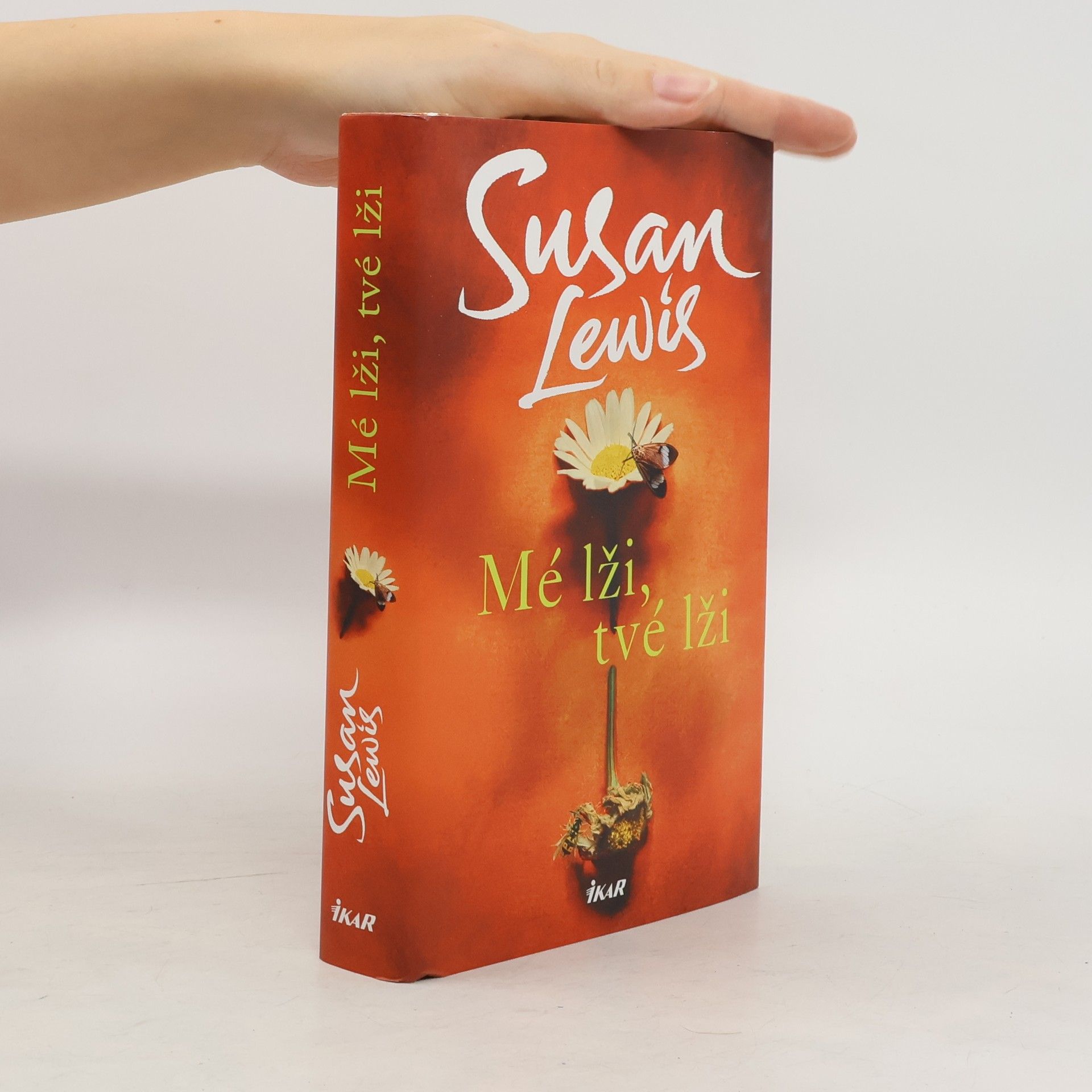 Susan Lewis Mé lži, tvé lži