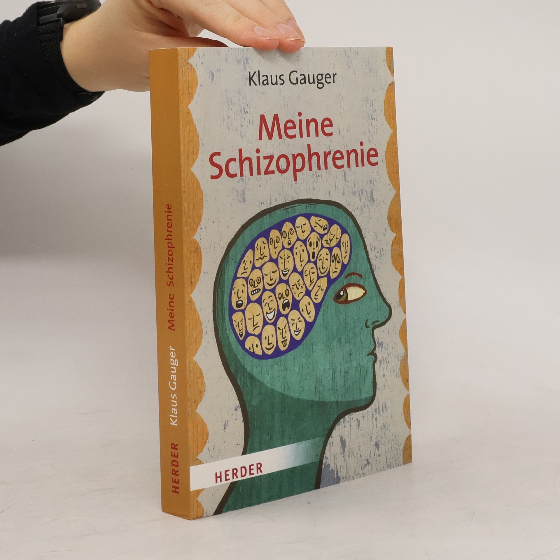 Klaus Gauger Meine Schizophrenie