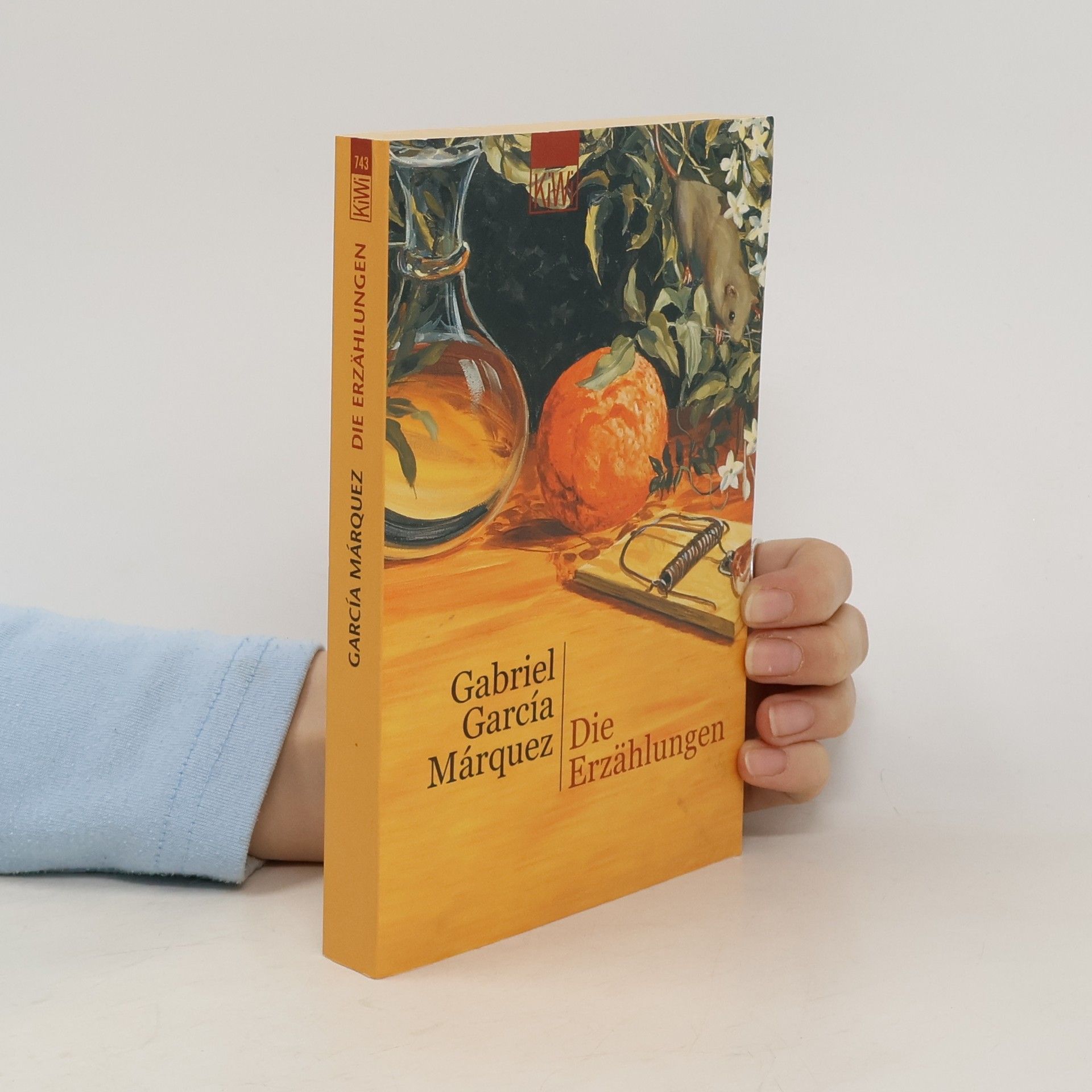 Gabriel García Márquez Die Erzählungen