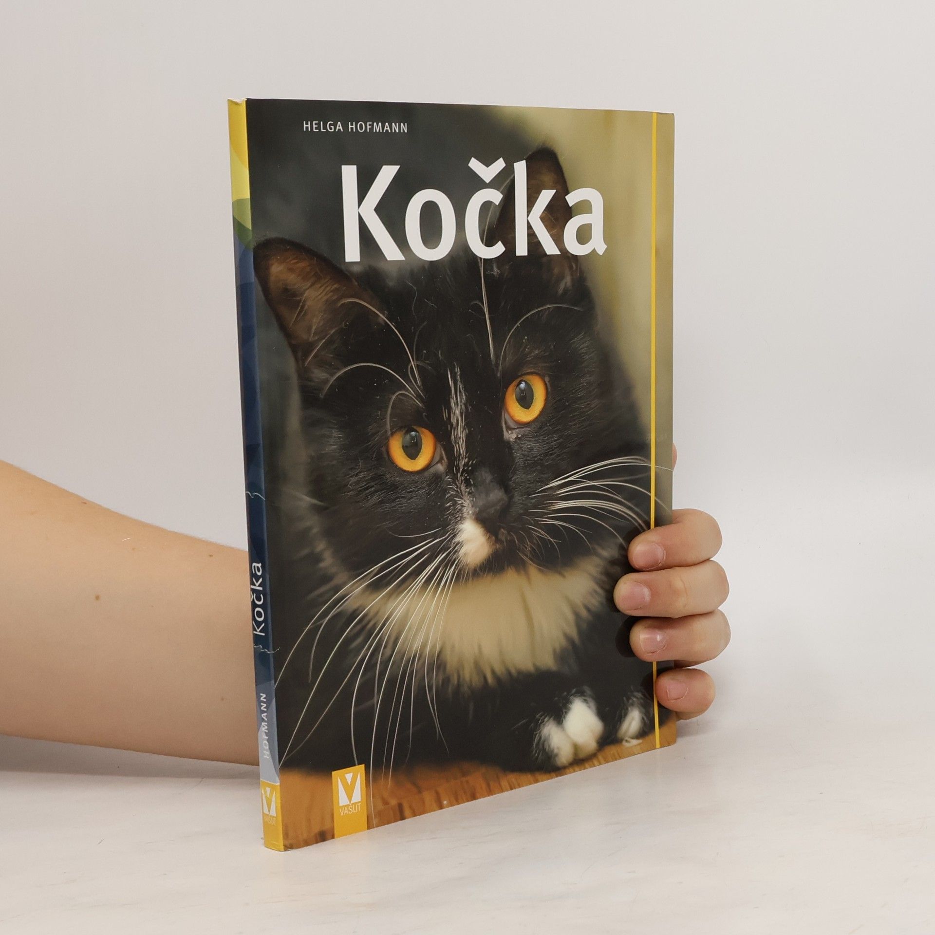 Ivana Čejková Kočka