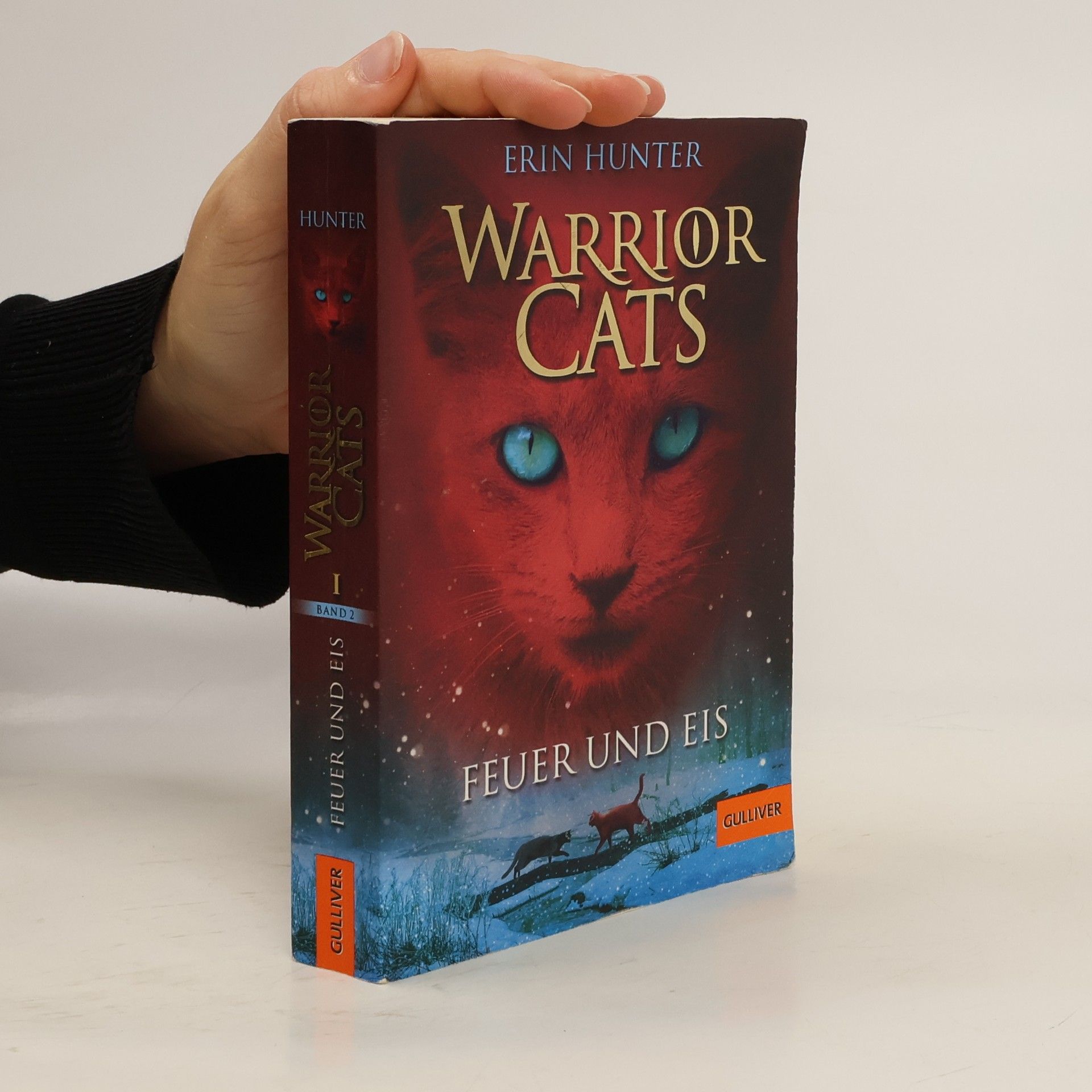 Erin Hunter Warrior Cats. Feuer und Eis