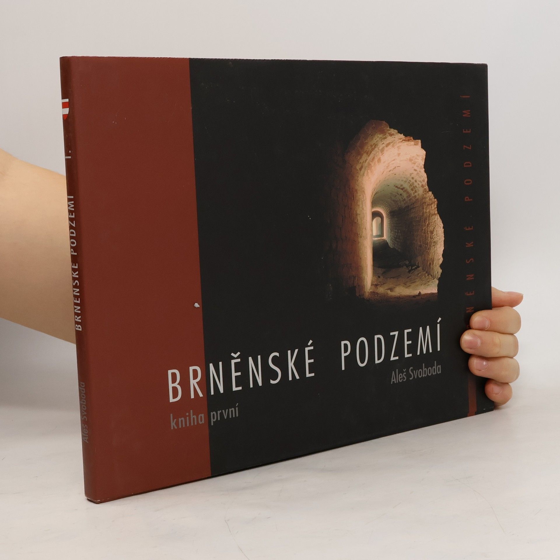 Aleš Svoboda Brněnské podzemí - Kniha první
