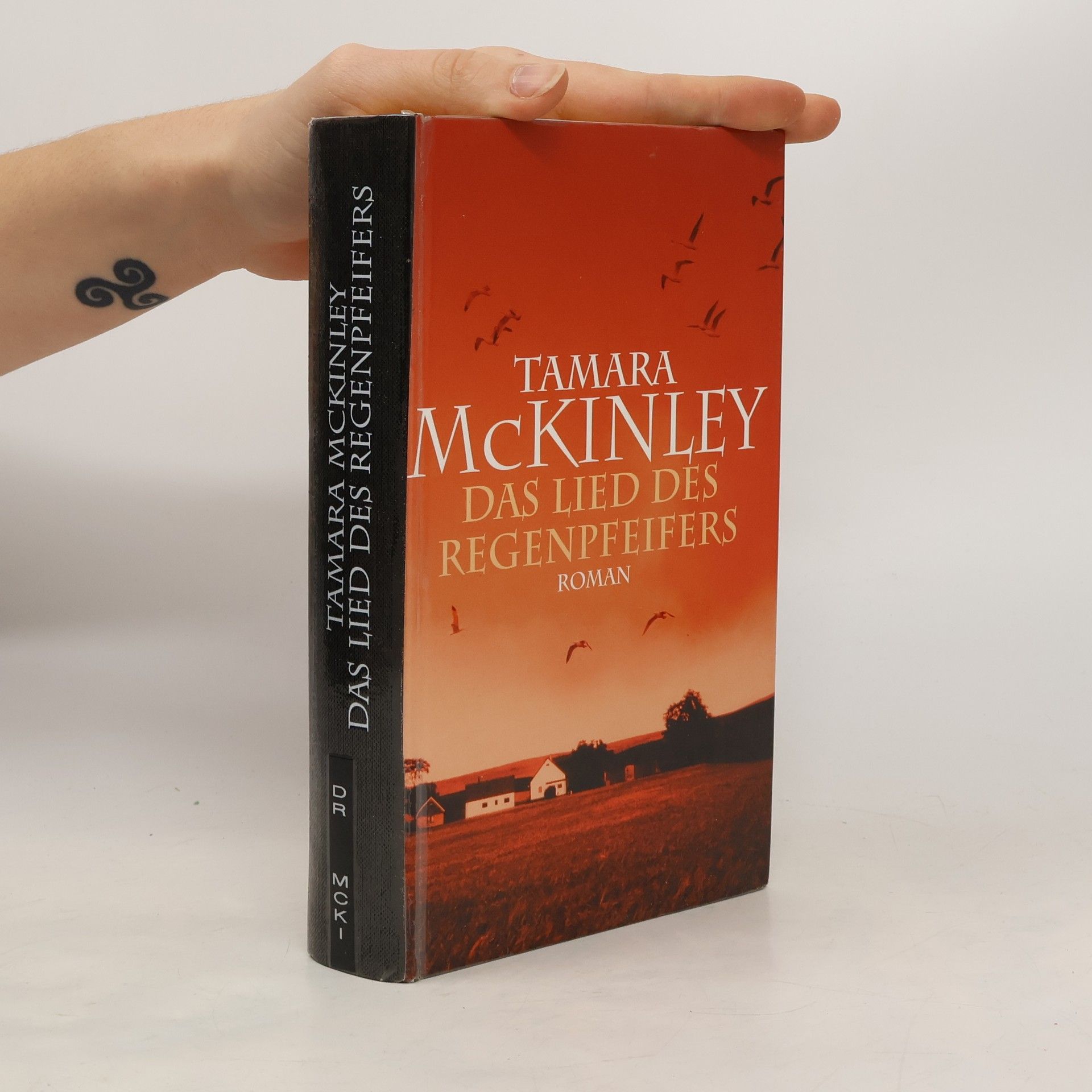 Tamara McKinley Das Lied des Regenpfeifers