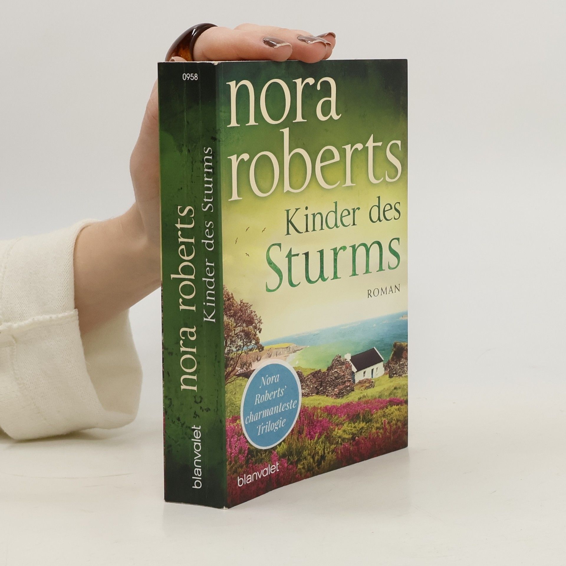 Nora Roberts Kinder des Sturms