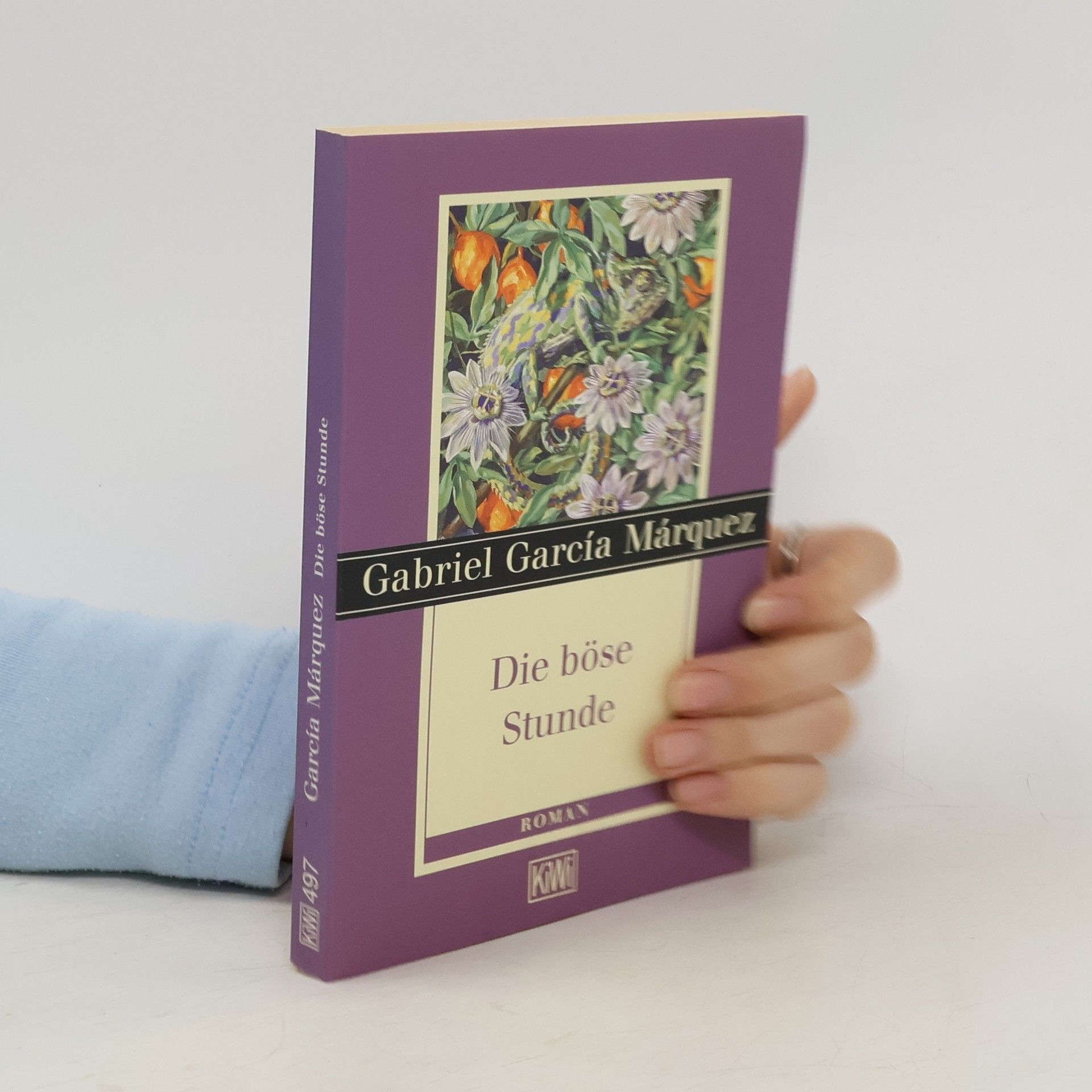 Gabriel García Márquez Die böse Stunde