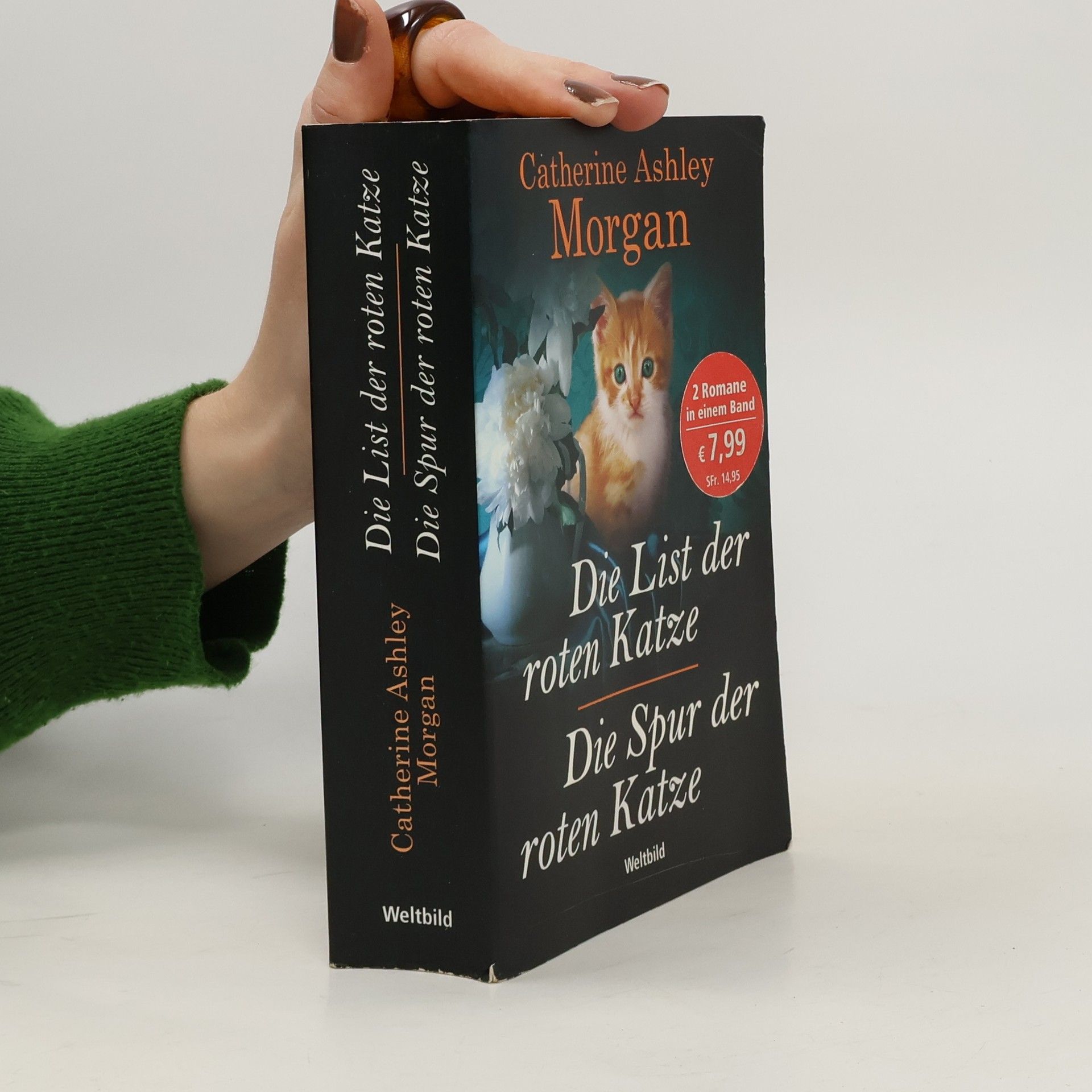 Die List der roten Katze. Die Spur der roten Katze