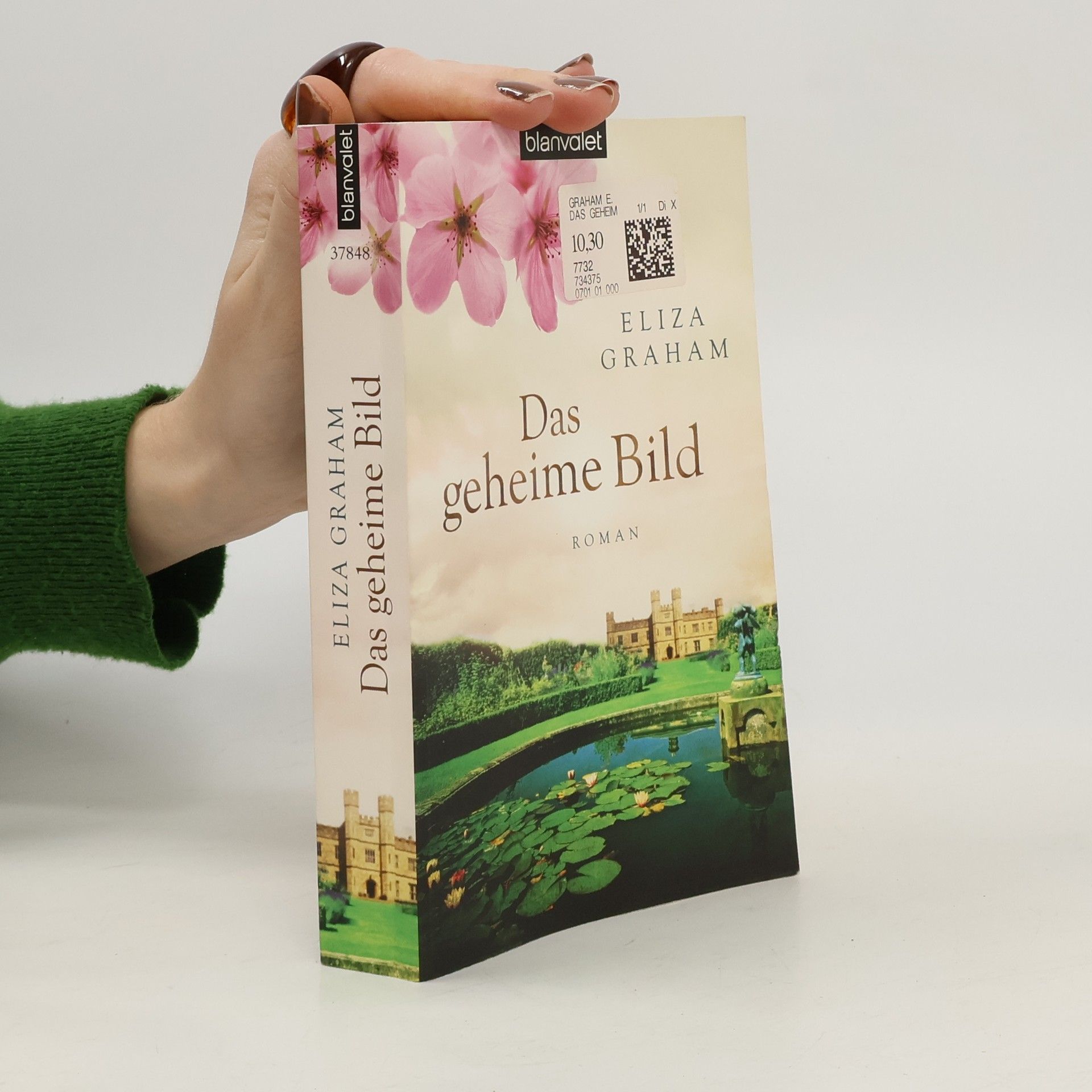 Eliza Graham Das geheime Bild