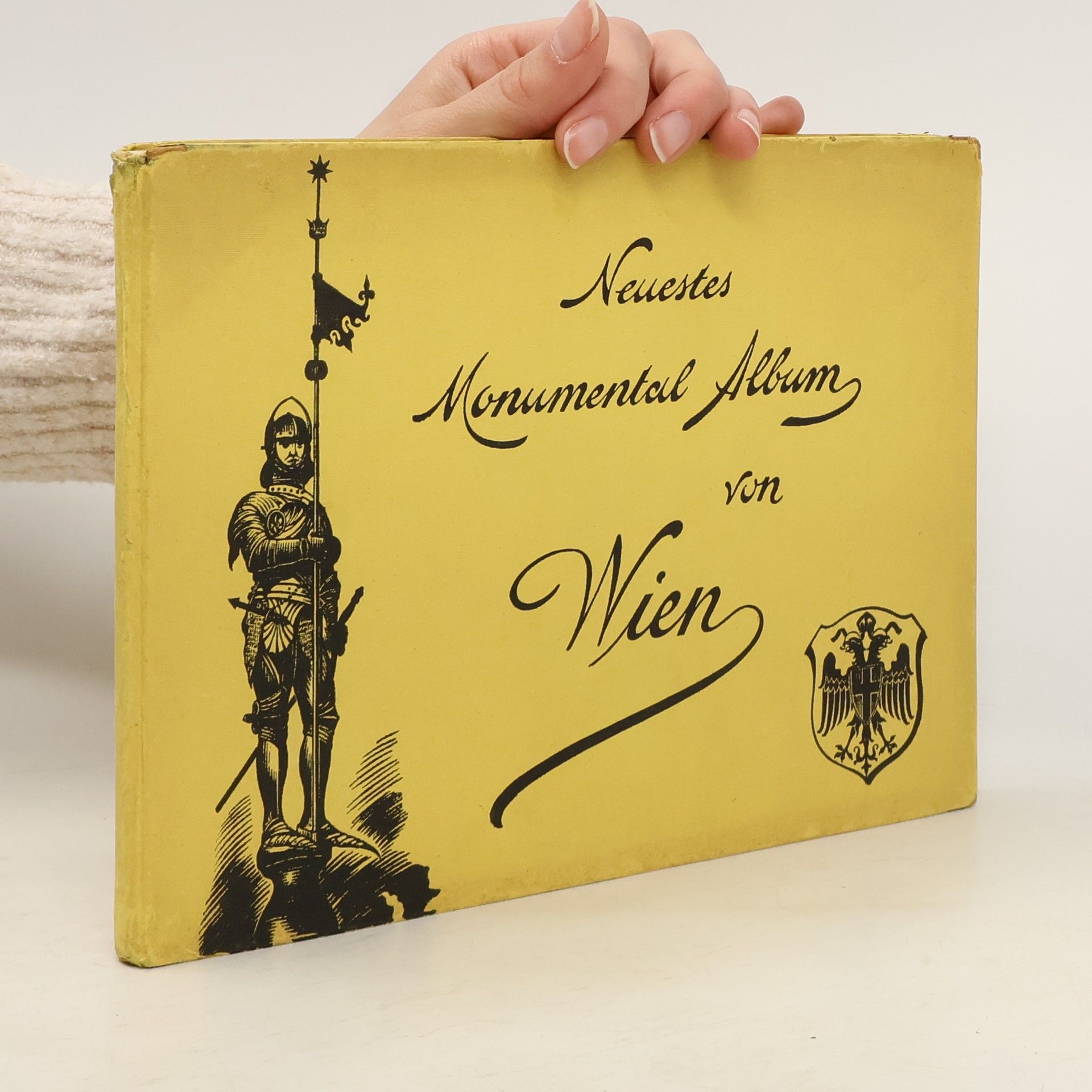 Kolektív autorov Neuestes monumental Album von Wien