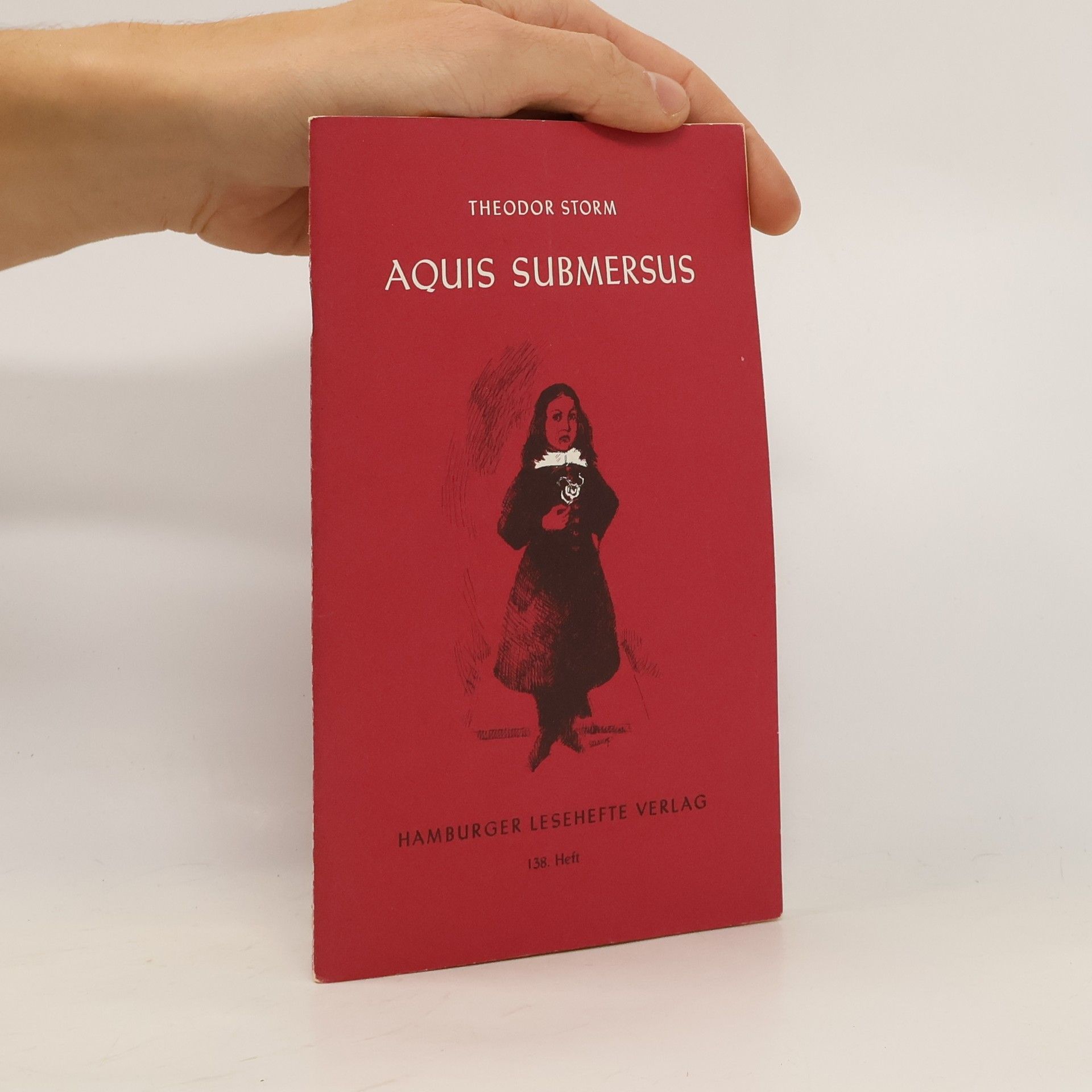 Theodor Storm Aquis submersus