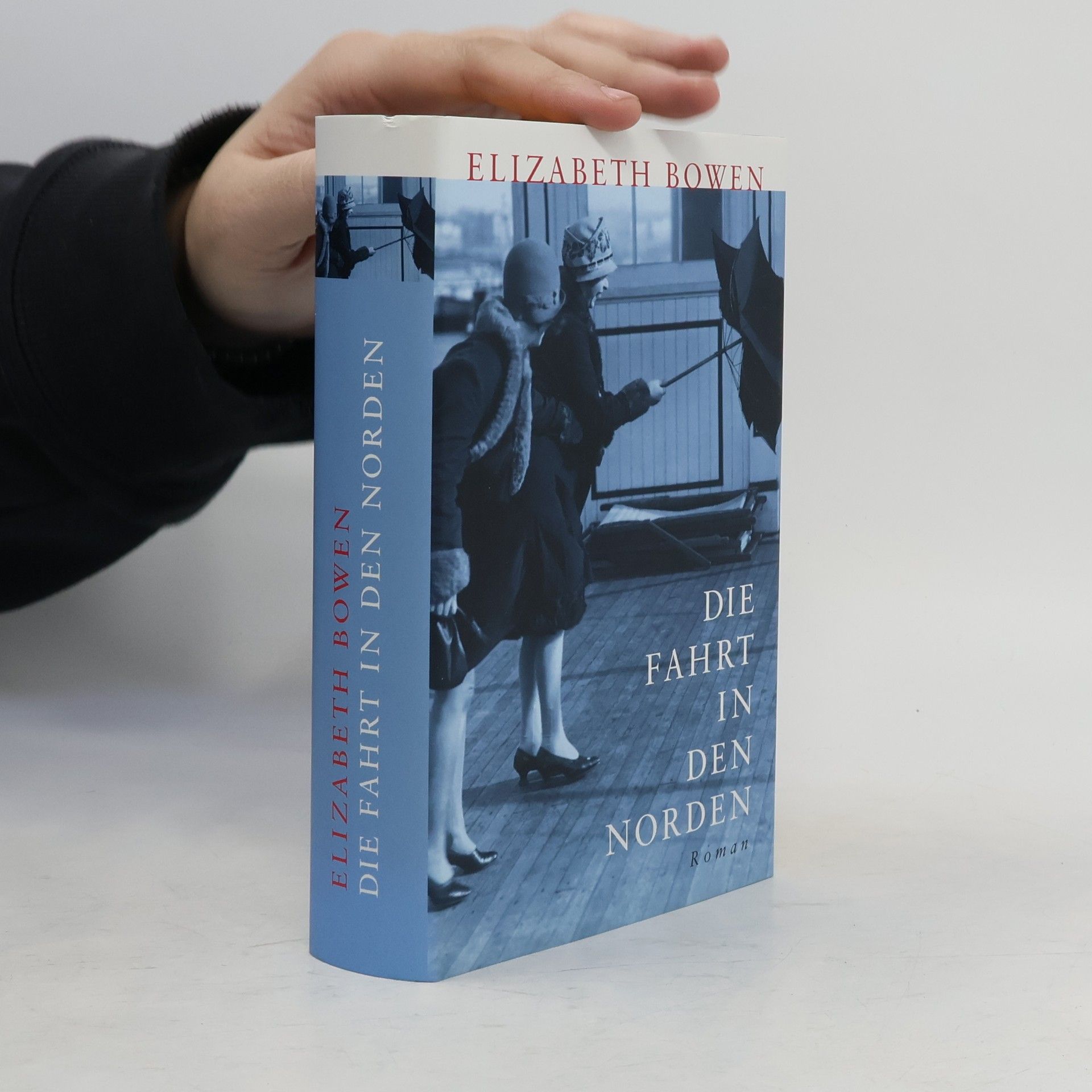 Elizabeth Bowen Die Fahrt in den Norden