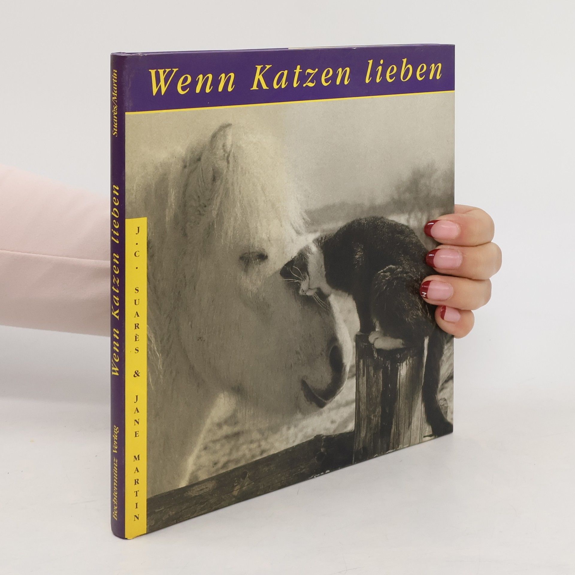 Wenn Katzen lieben