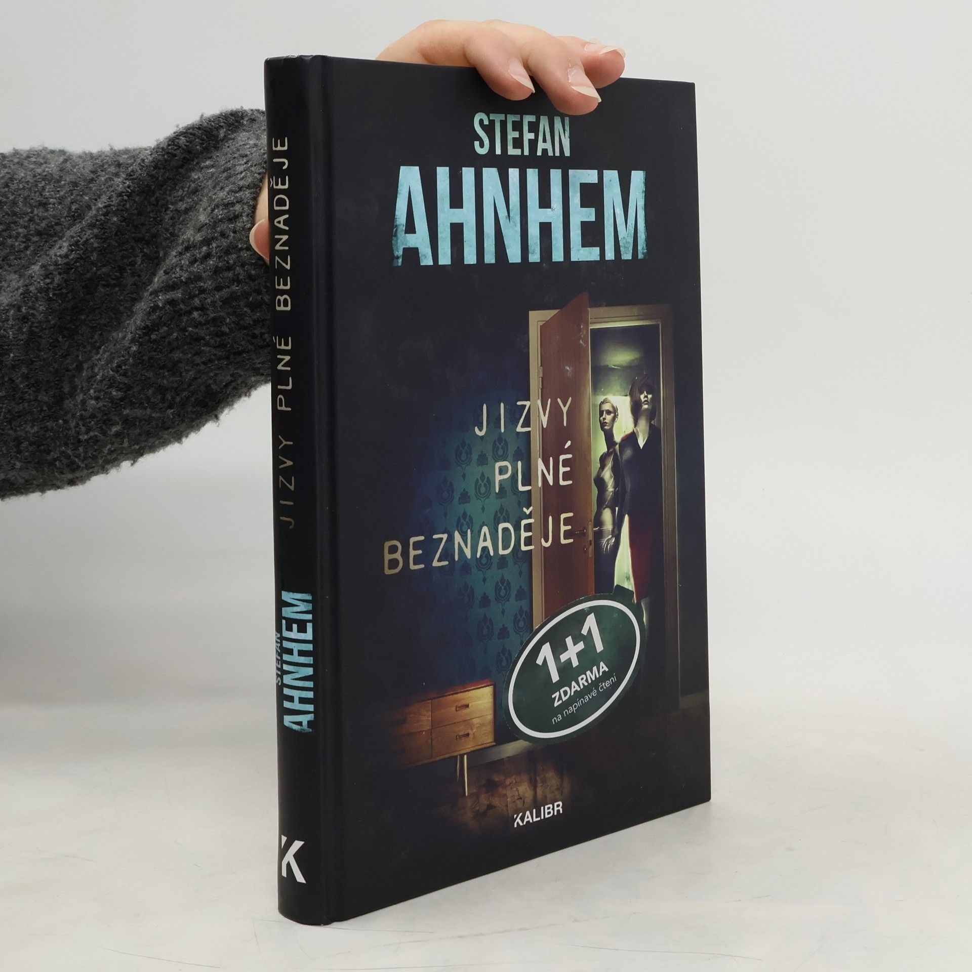 Stefan Ahnhem Jizvy plné beznaděje