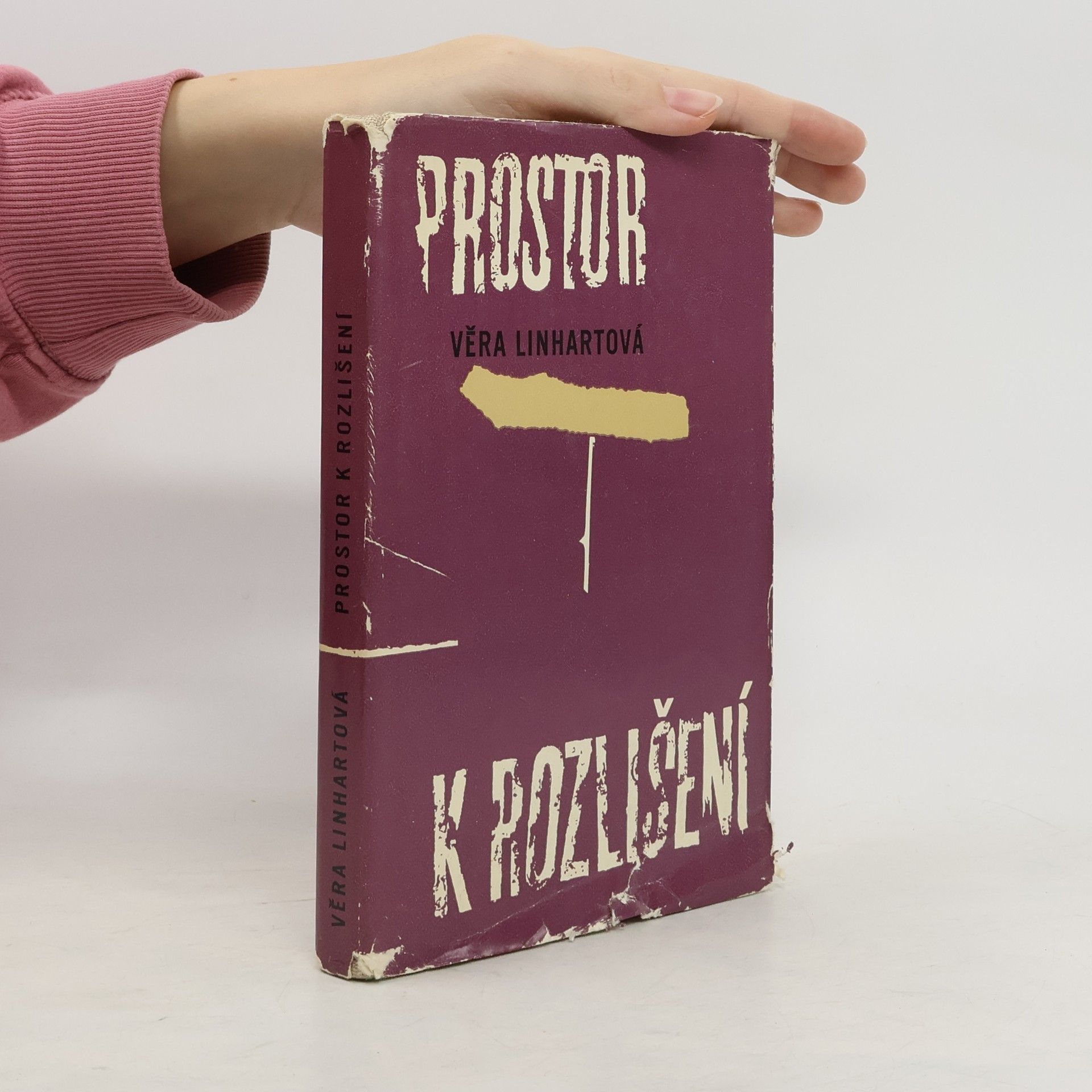 Věra Linhartová Prostor k rozlišení