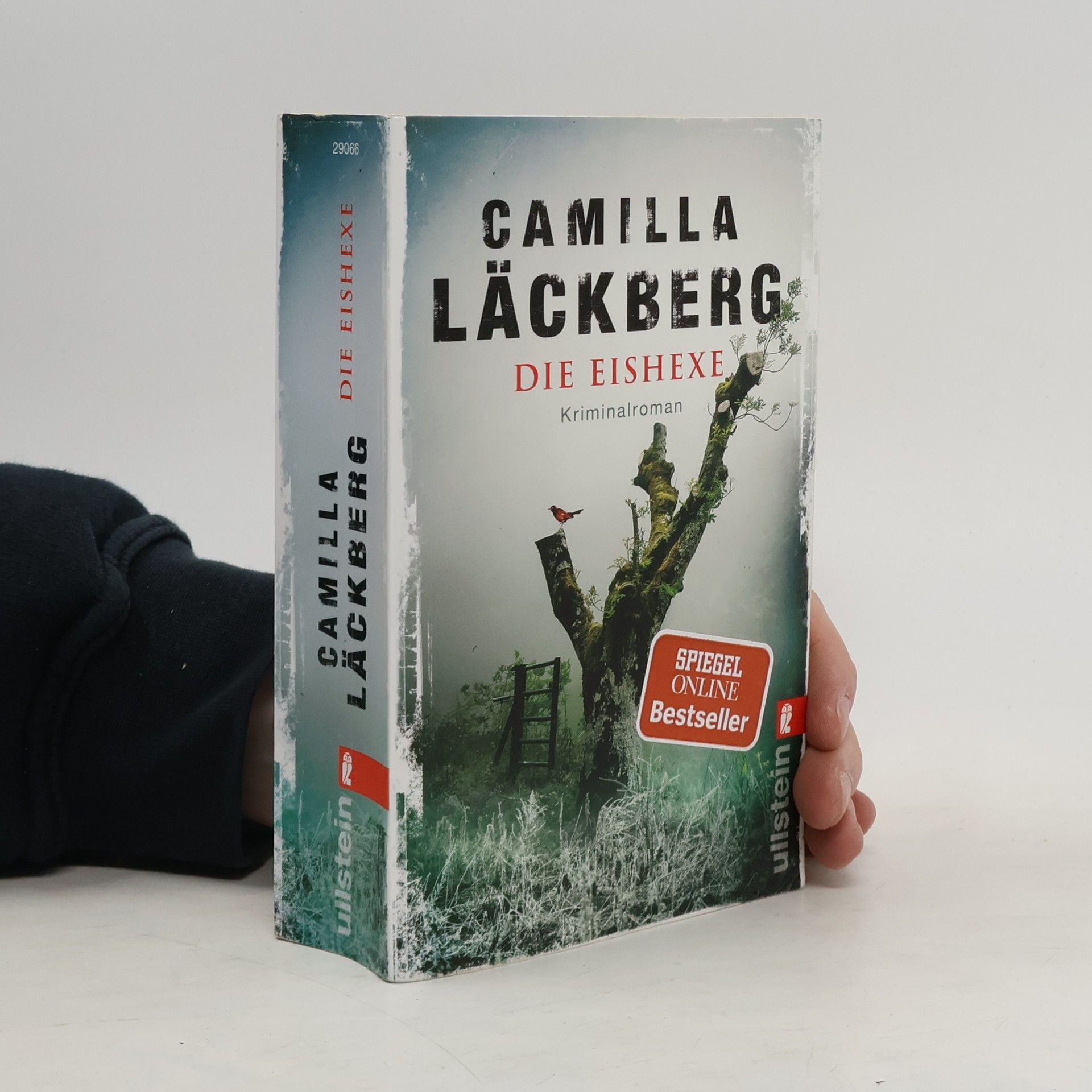 Camilla Läckberg Die Eishexe