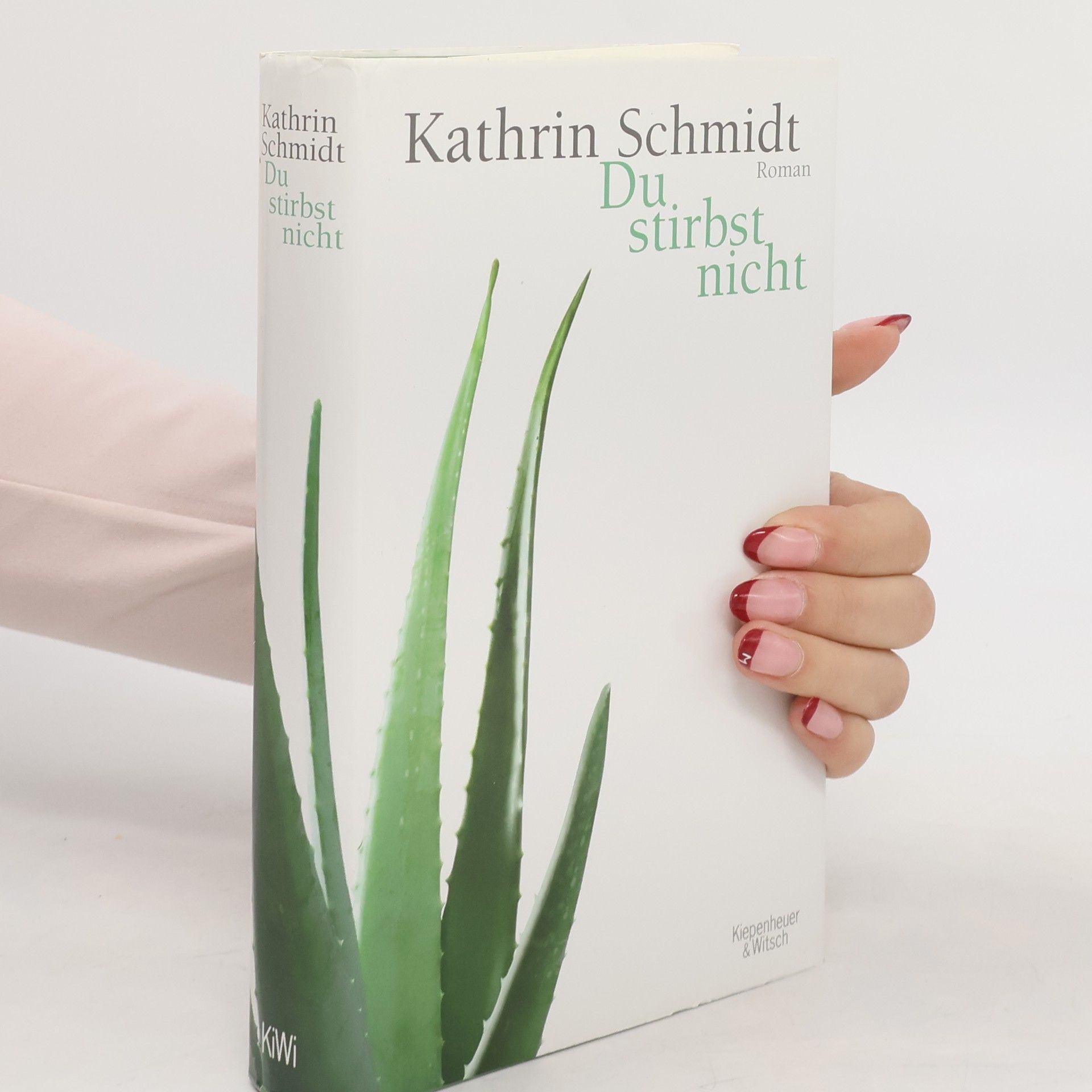 Kathrin Schmidt Du stirbst nicht