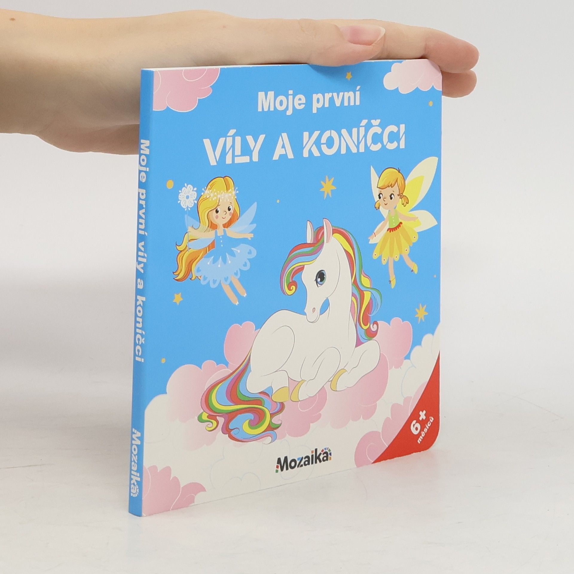 Kolektiv autorů Moje první víly a koníčci
